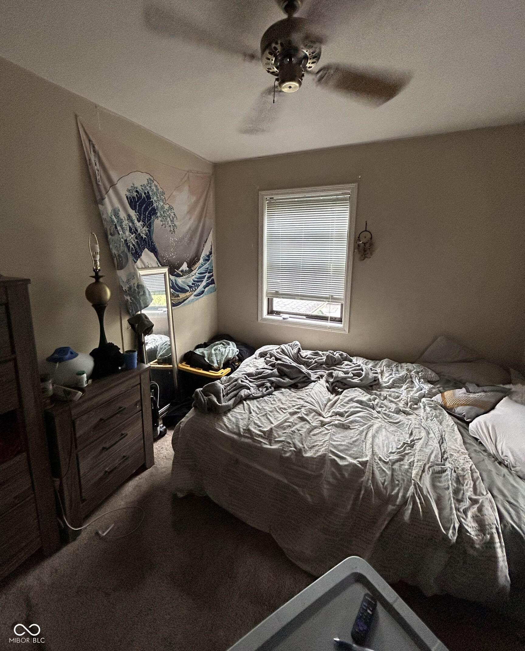 Photo #12