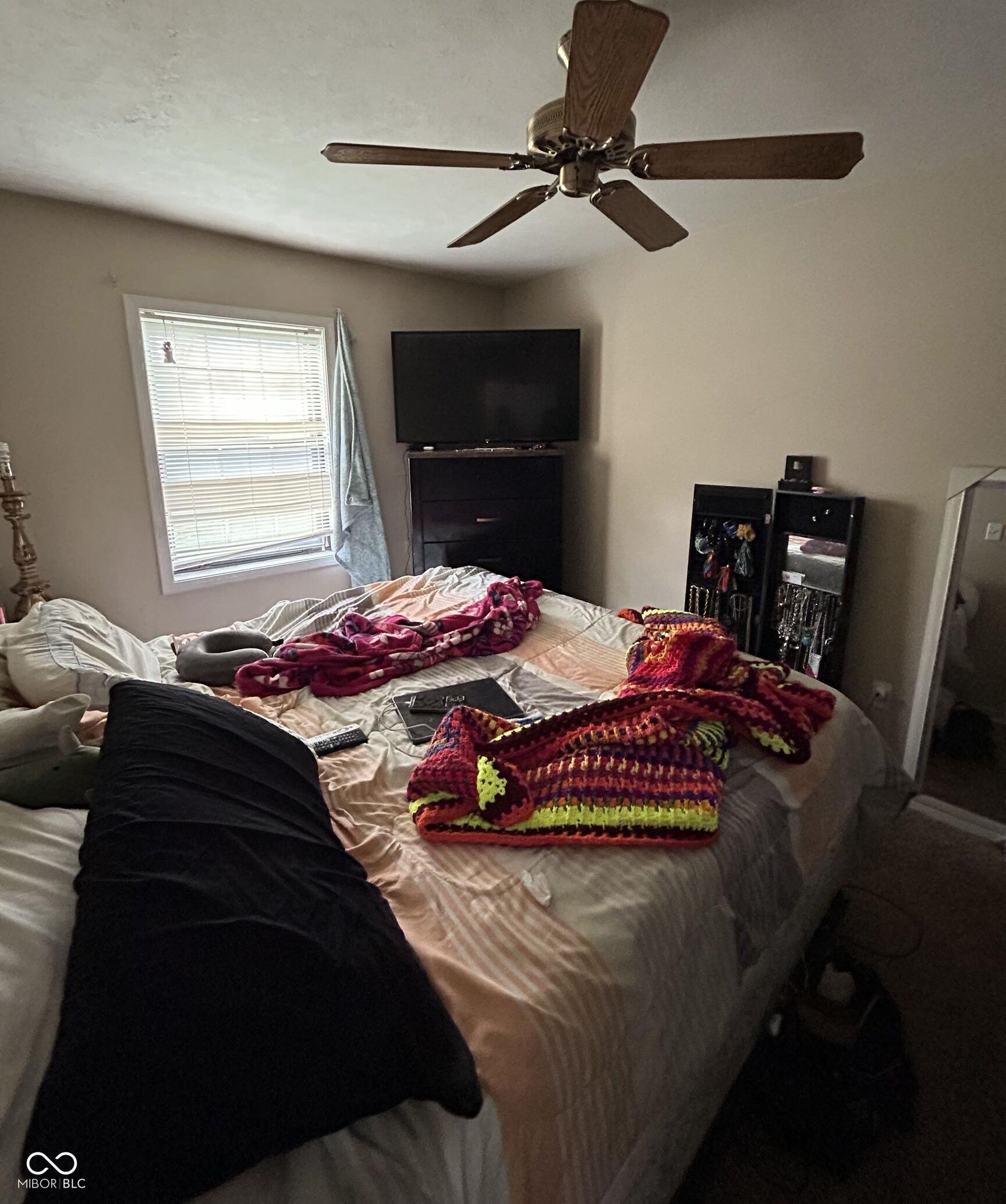 Photo #14