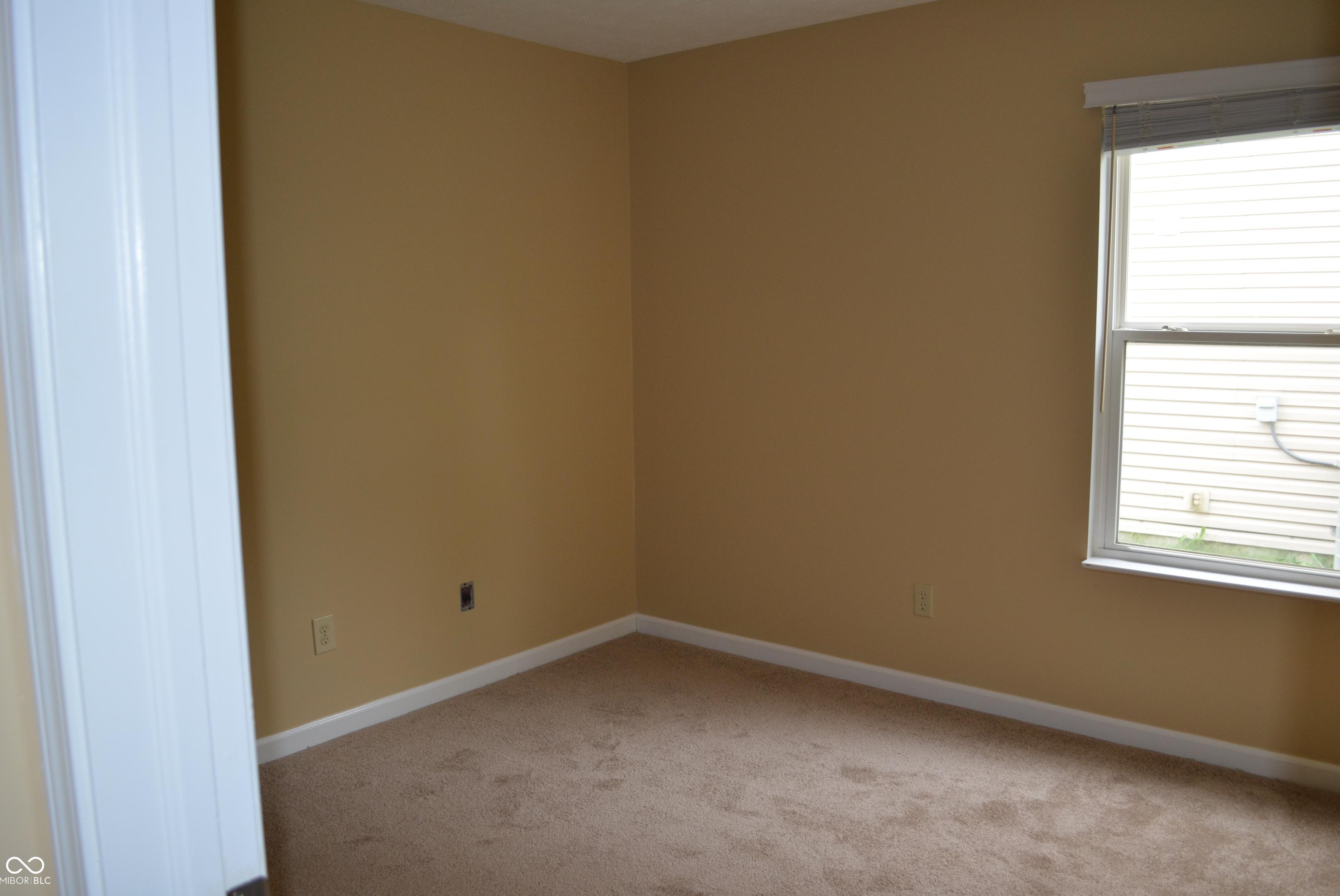 Photo #18