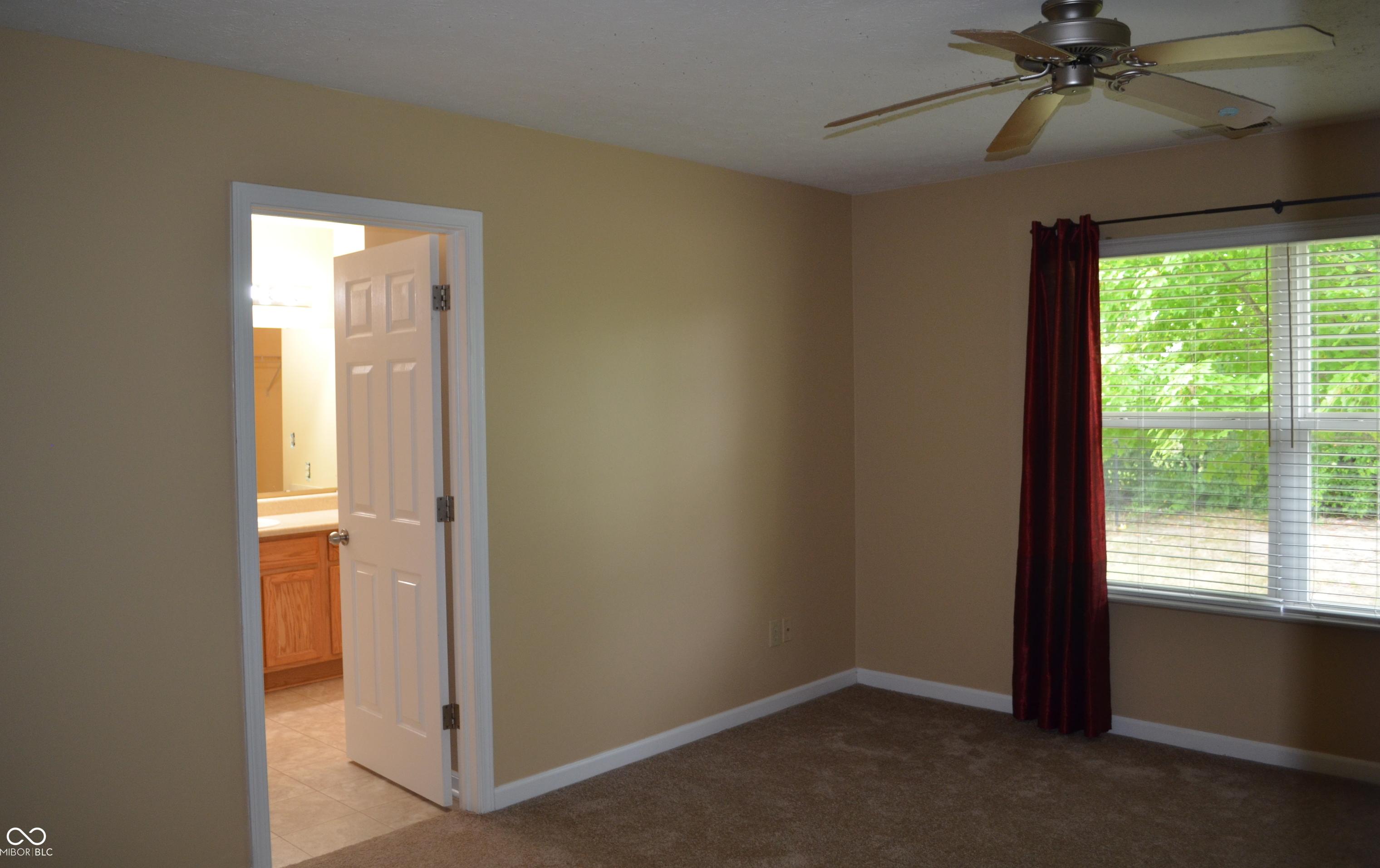 Photo #13