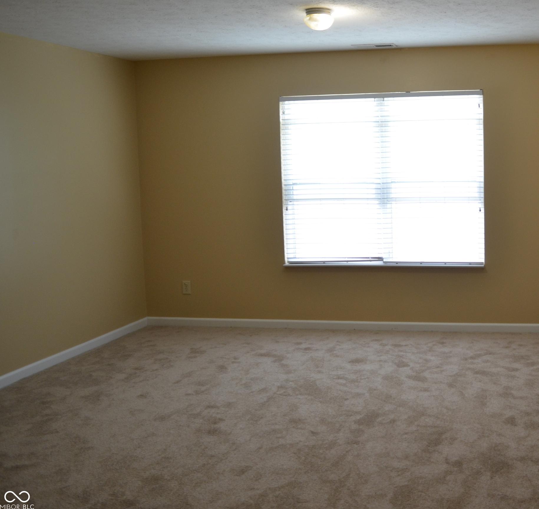 Photo #22
