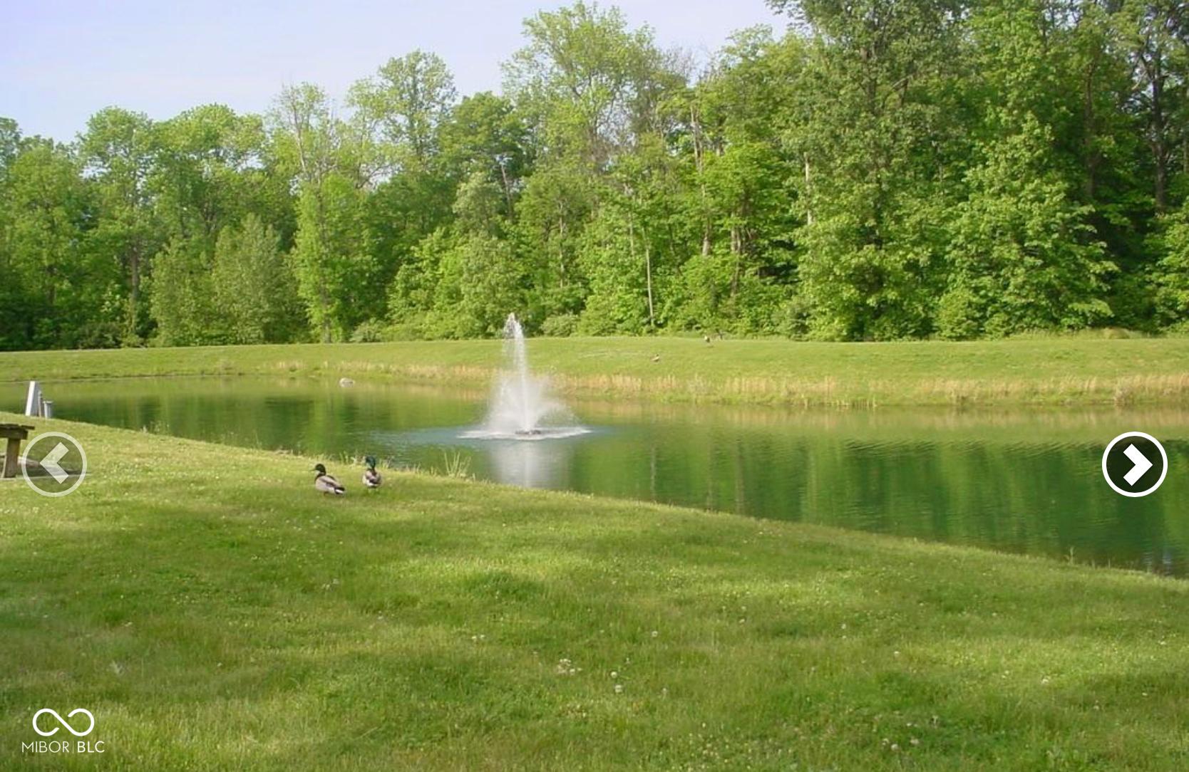 Photo #43