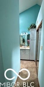 Photo #7