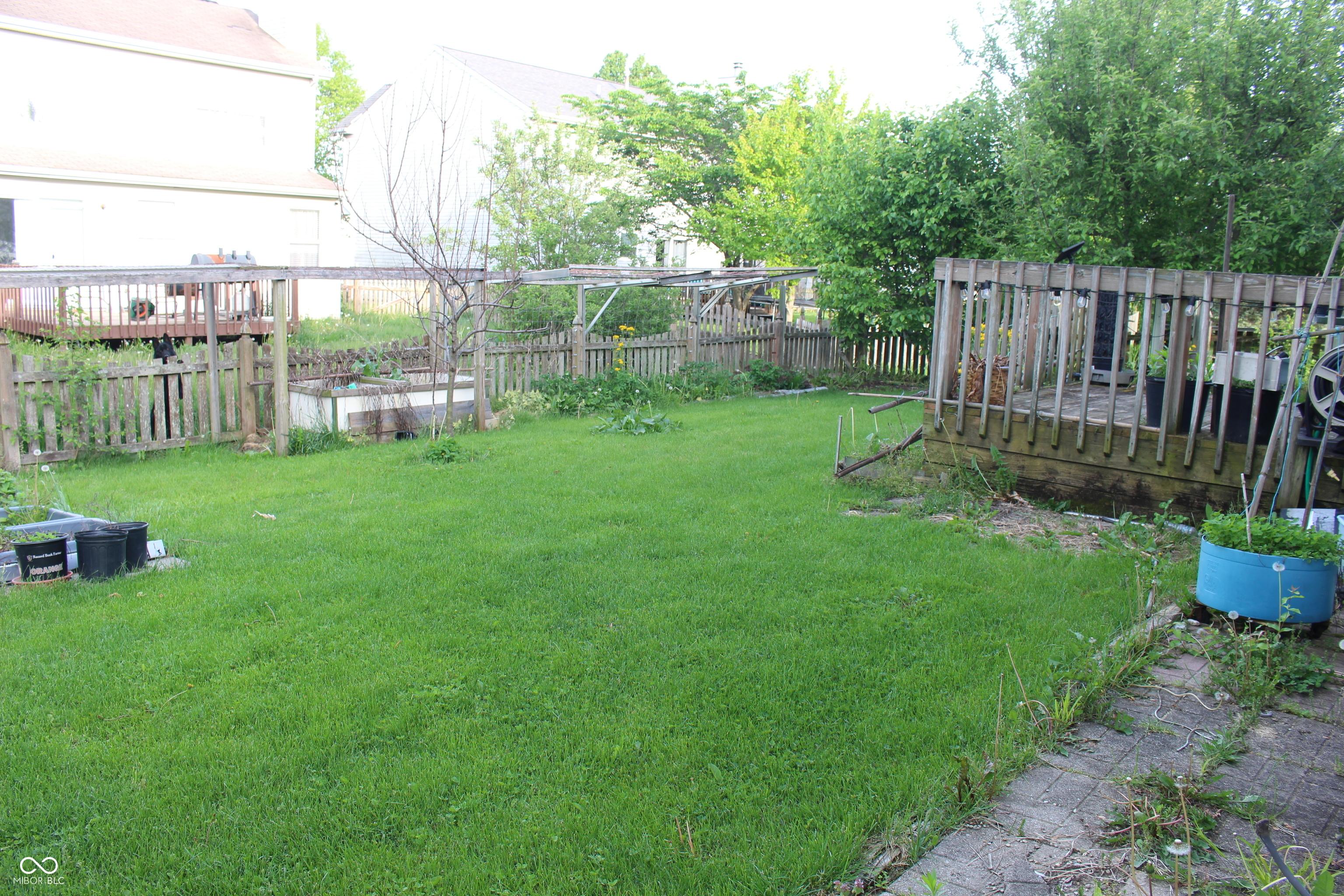 Photo #15