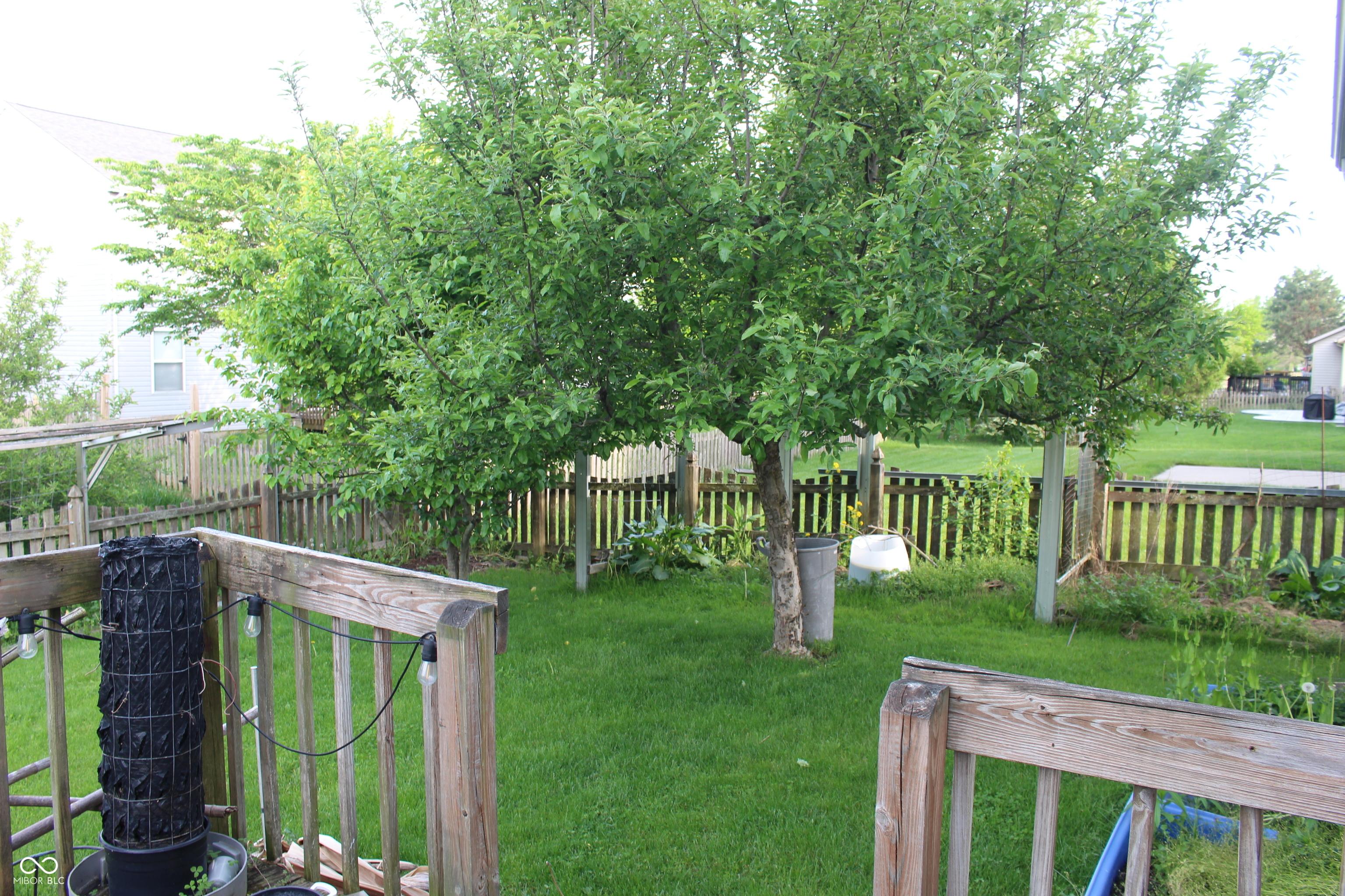 Photo #14