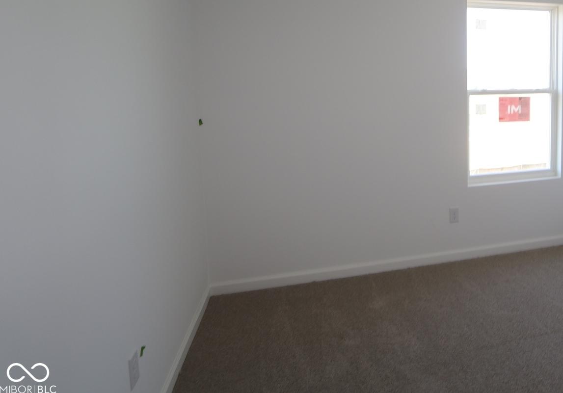 Photo #8