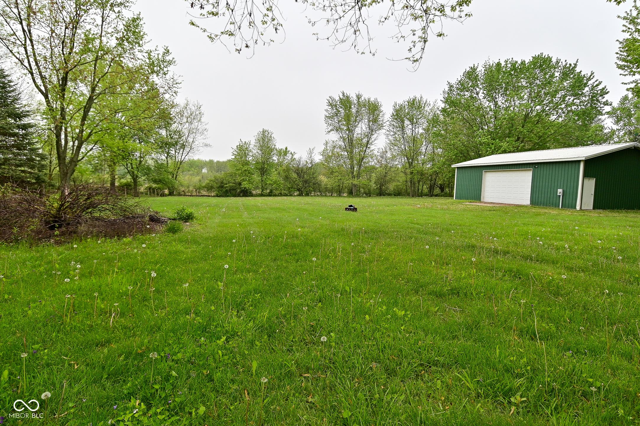 Photo #7