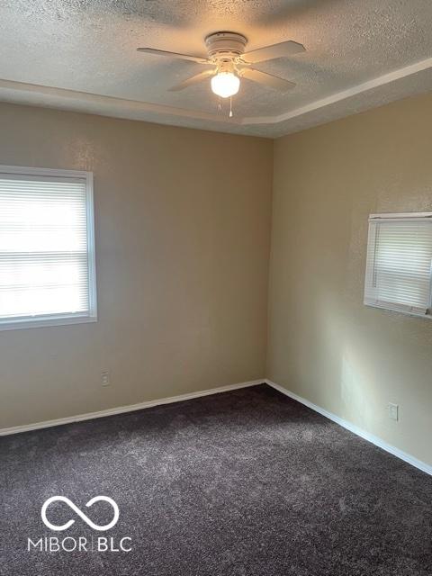 Photo #4