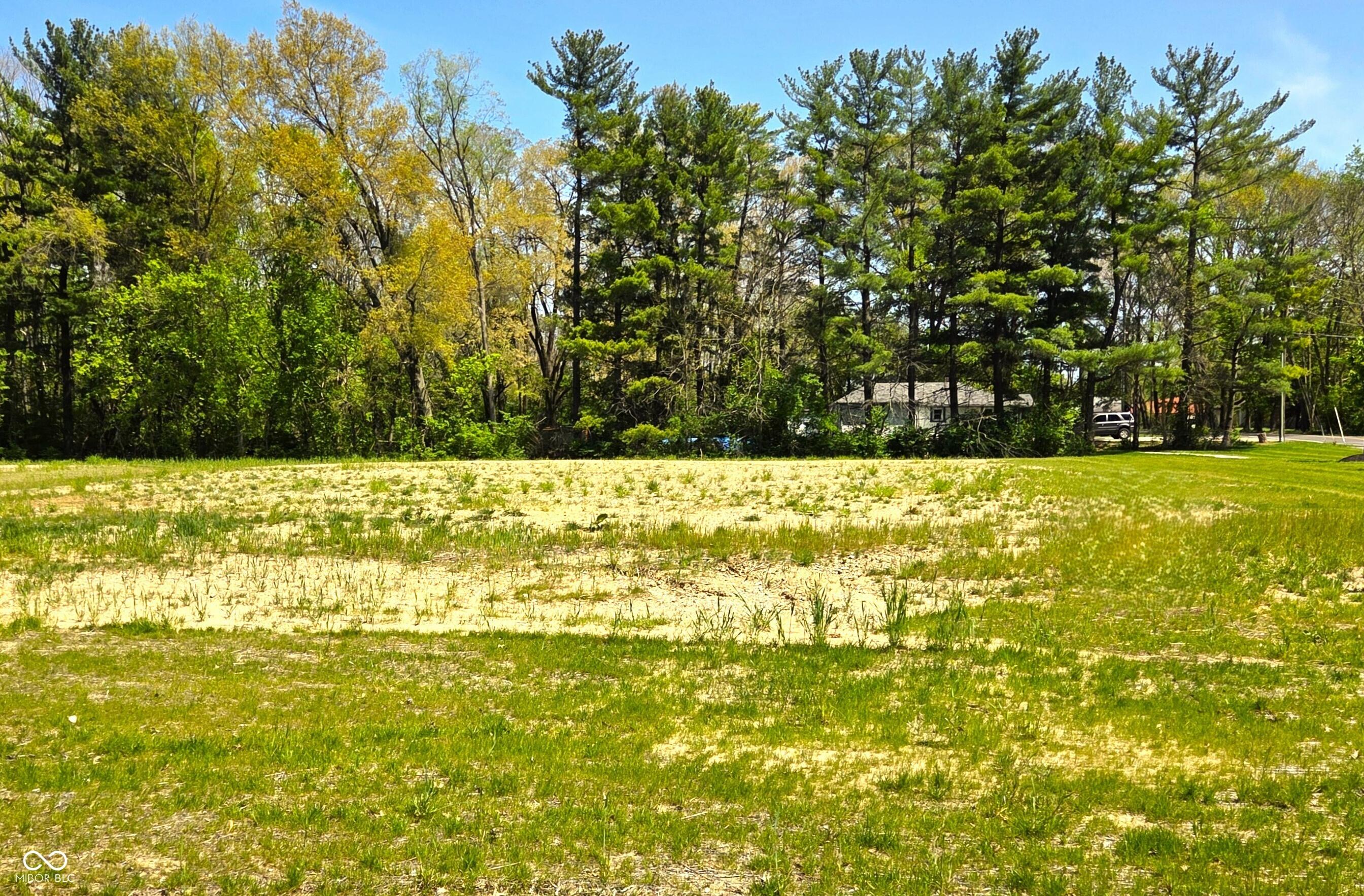 Photo #4