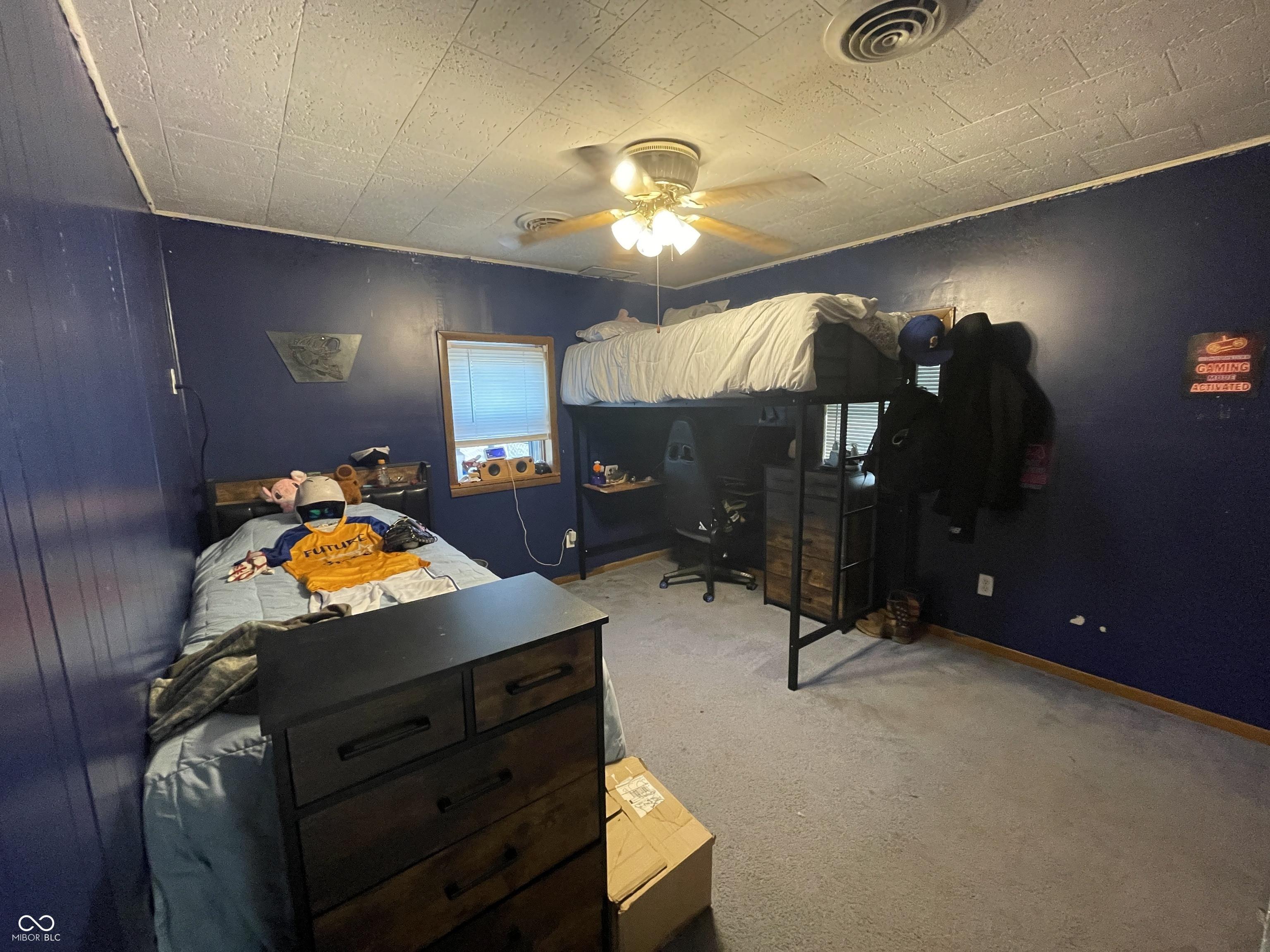 Photo #16