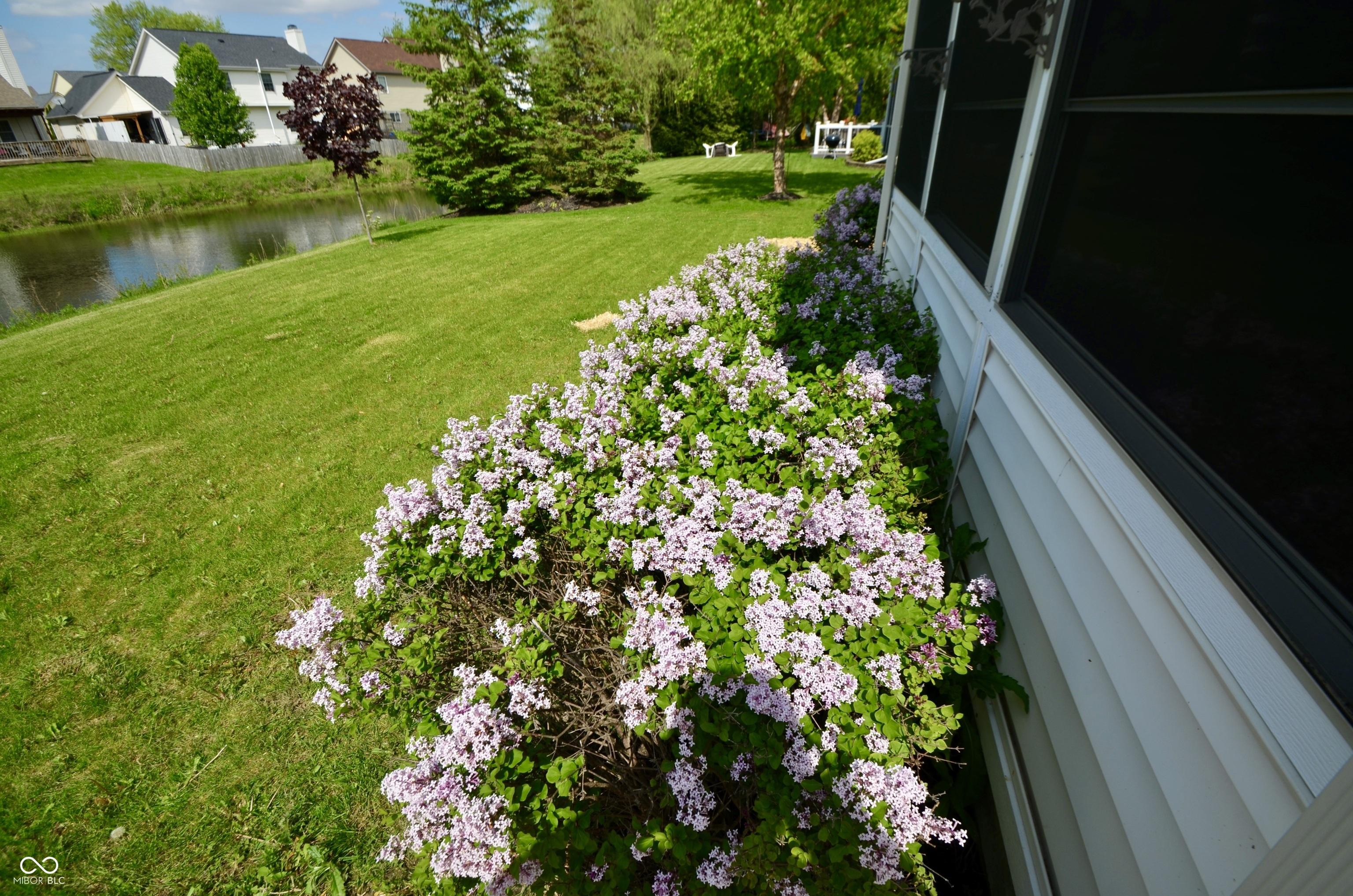 Photo #48