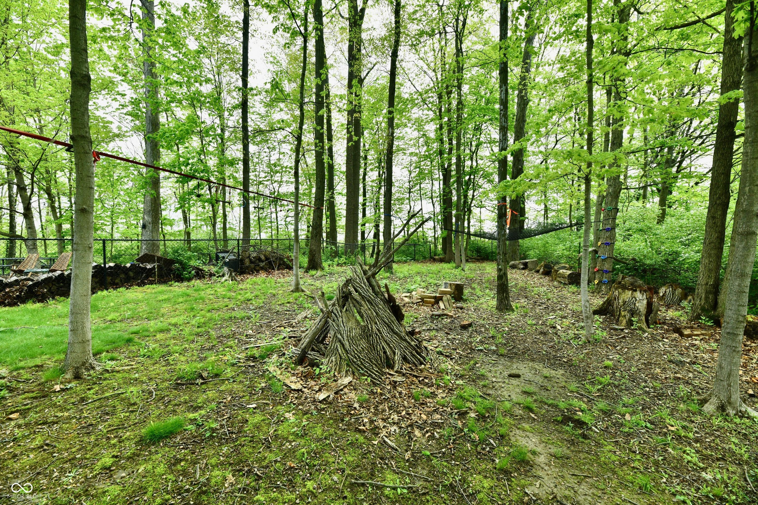 Photo #8