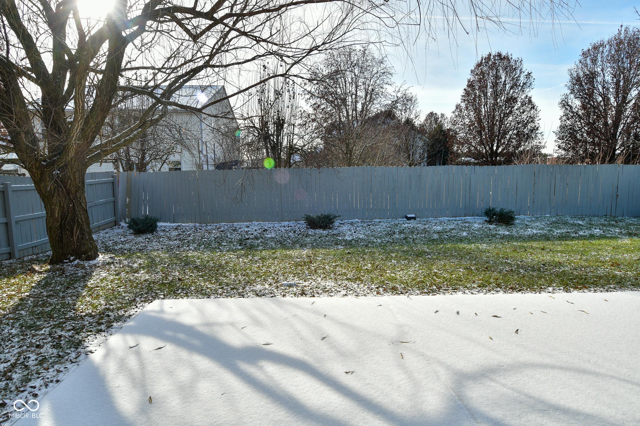 Photo #35