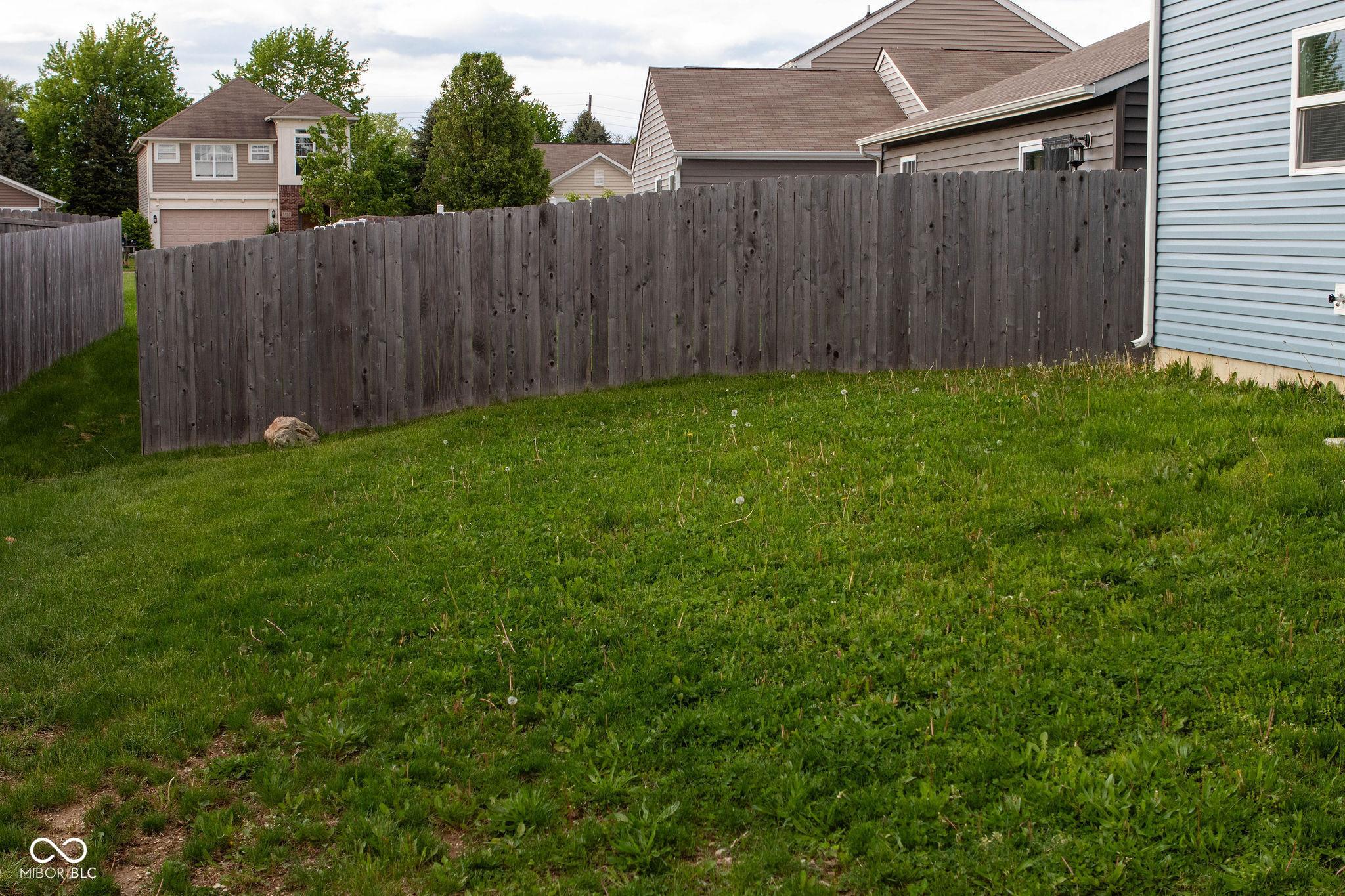 Photo #29