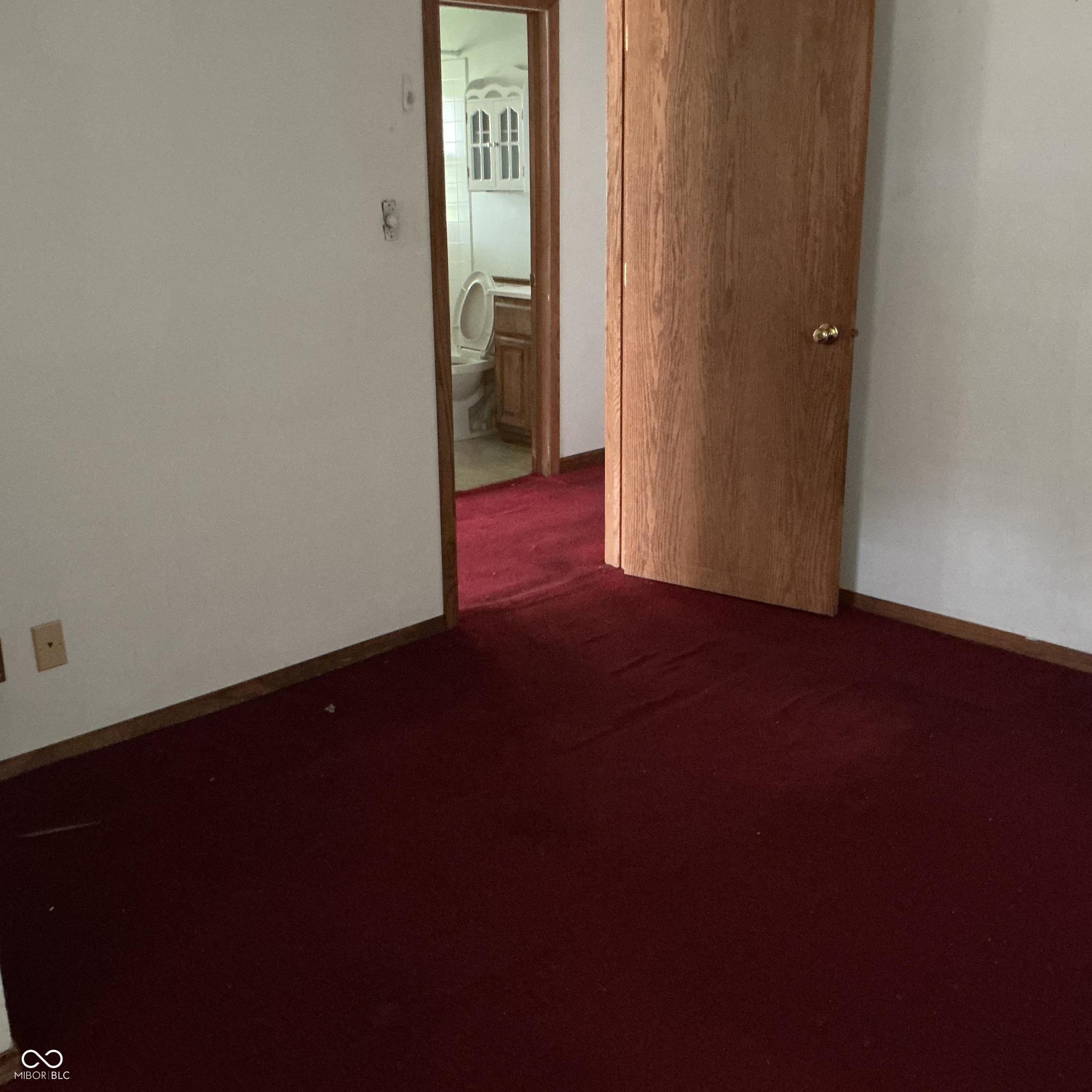 Photo #6