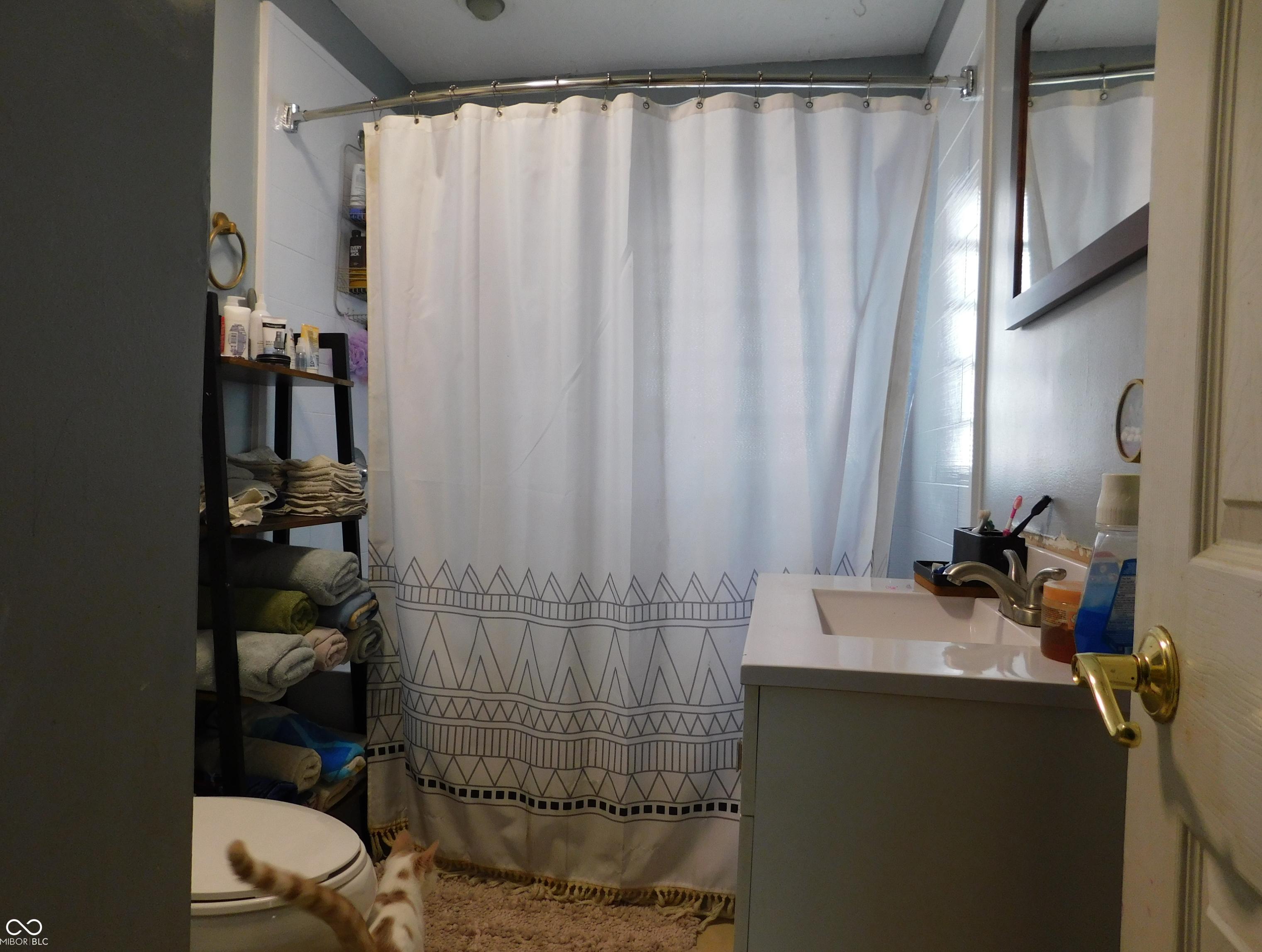Photo #16