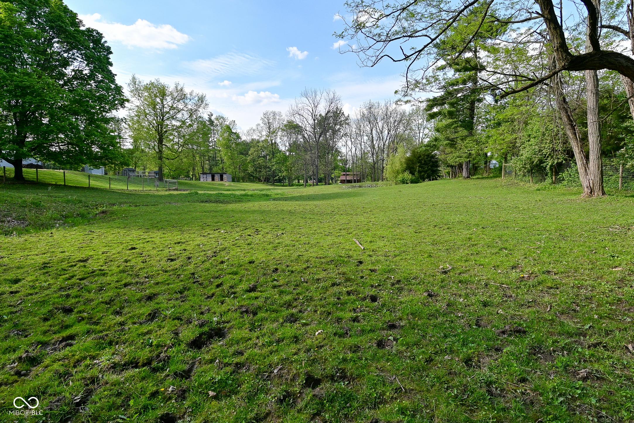 Photo #47