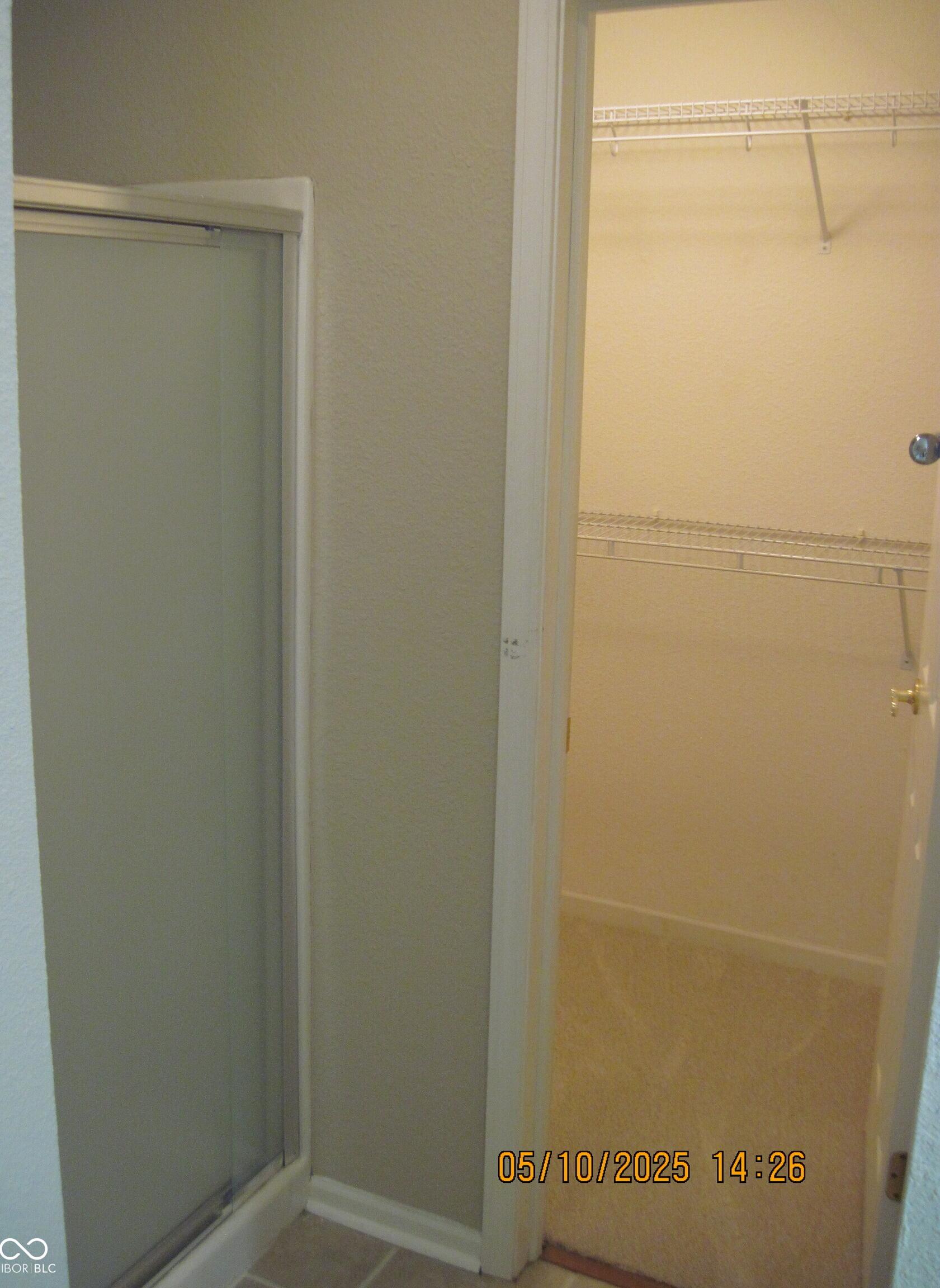 Photo #11