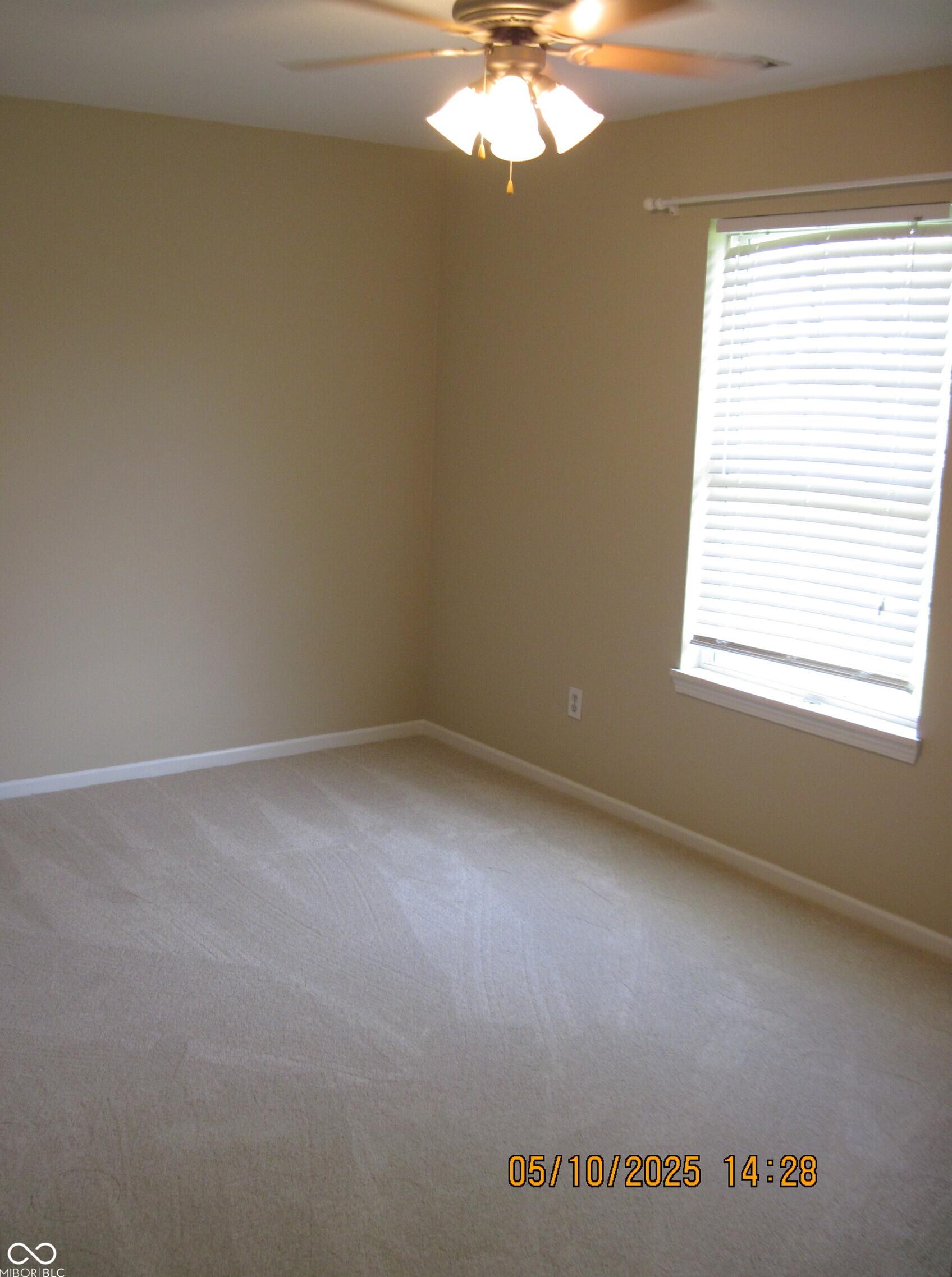 Photo #13