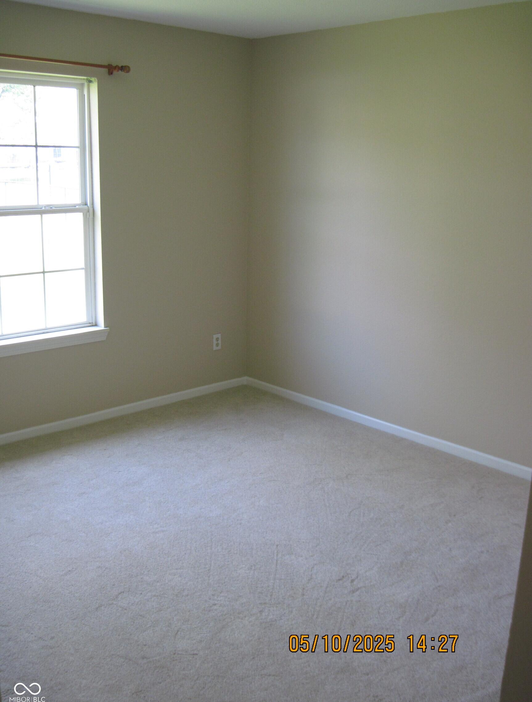 Photo #12