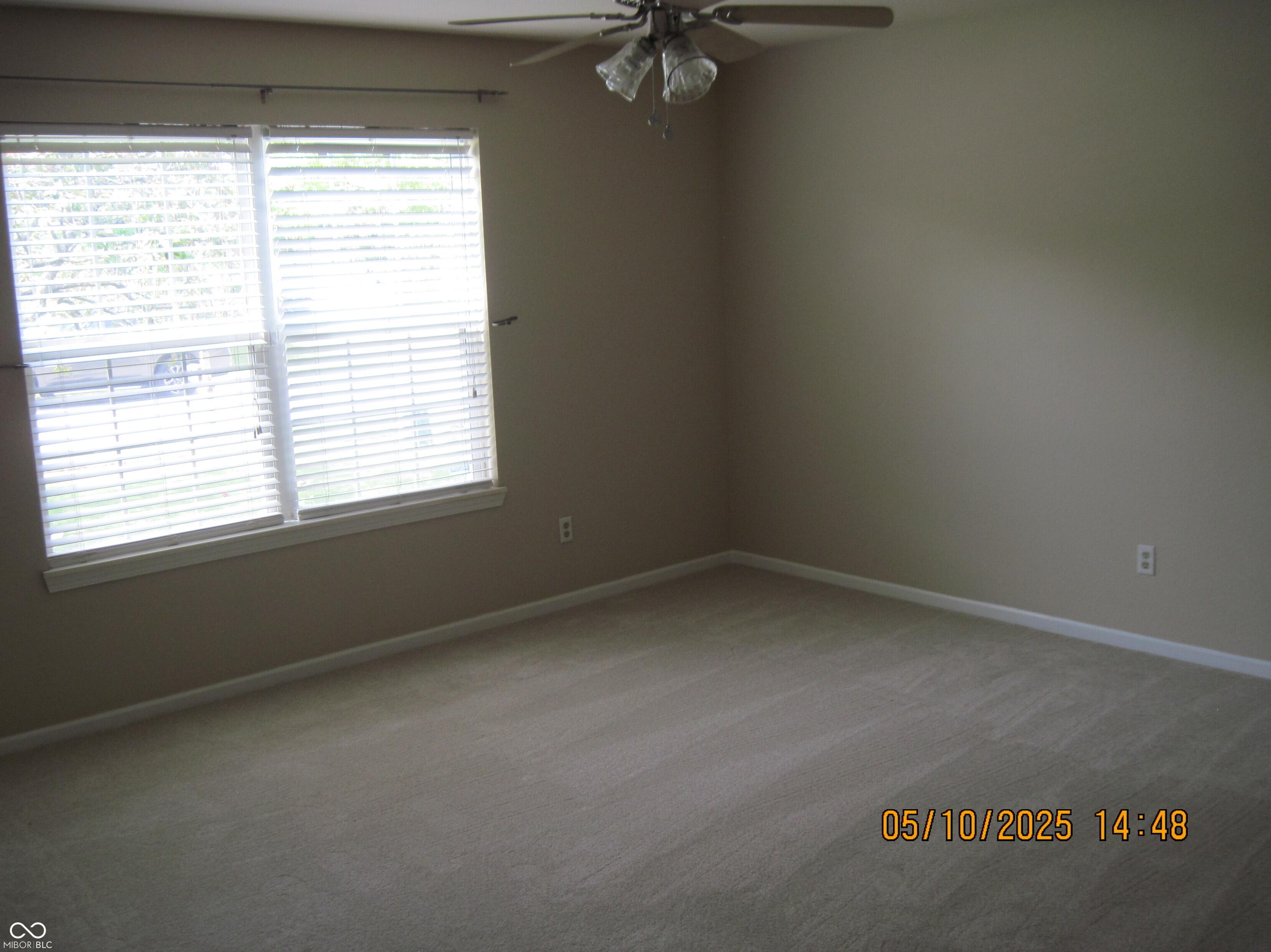Photo #15