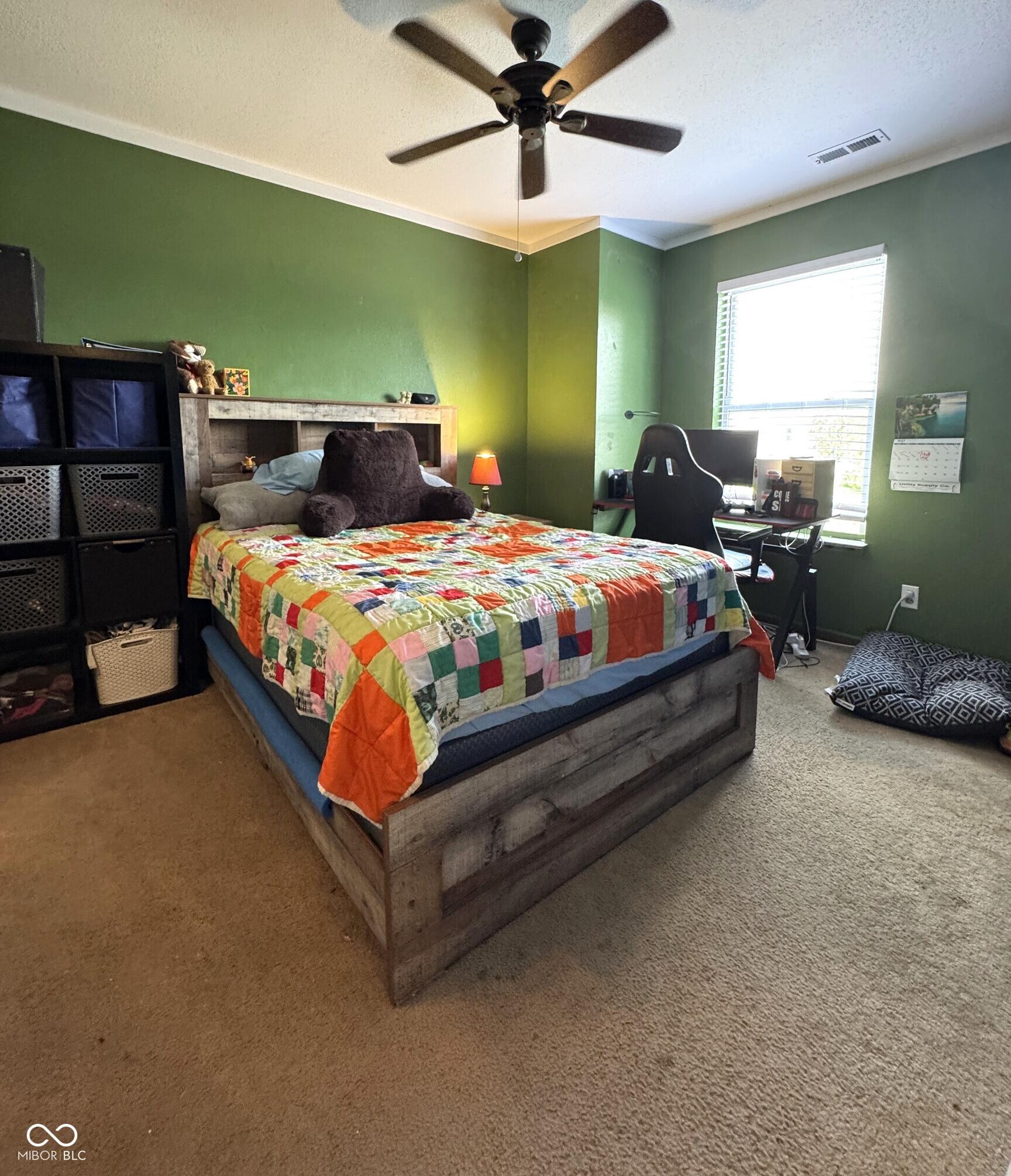 Photo #24