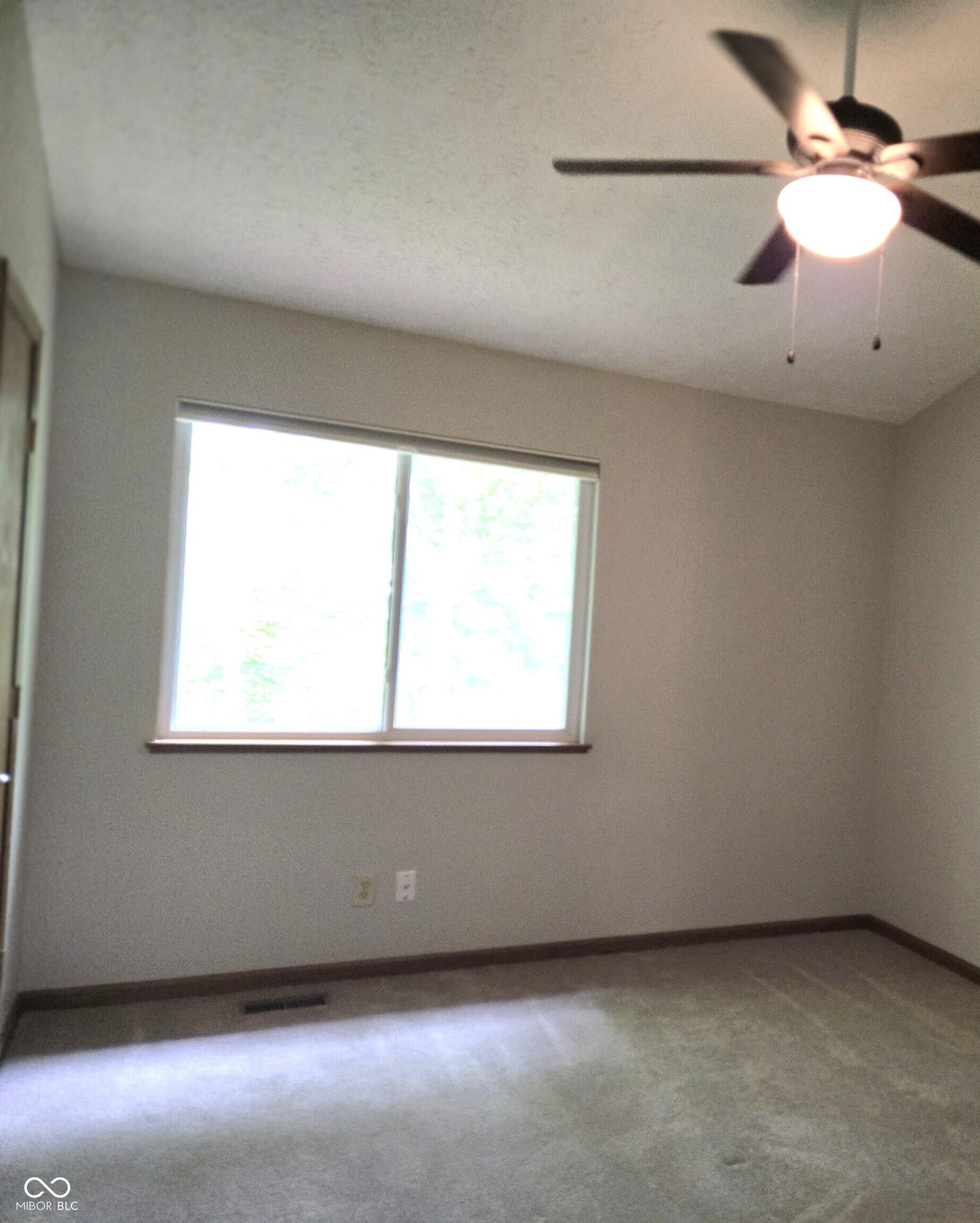 Photo #23