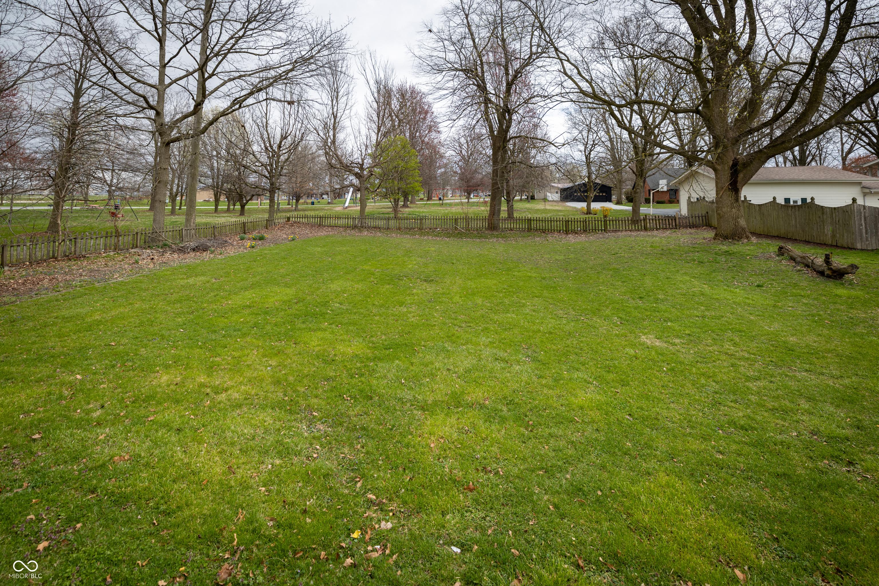 Photo #4