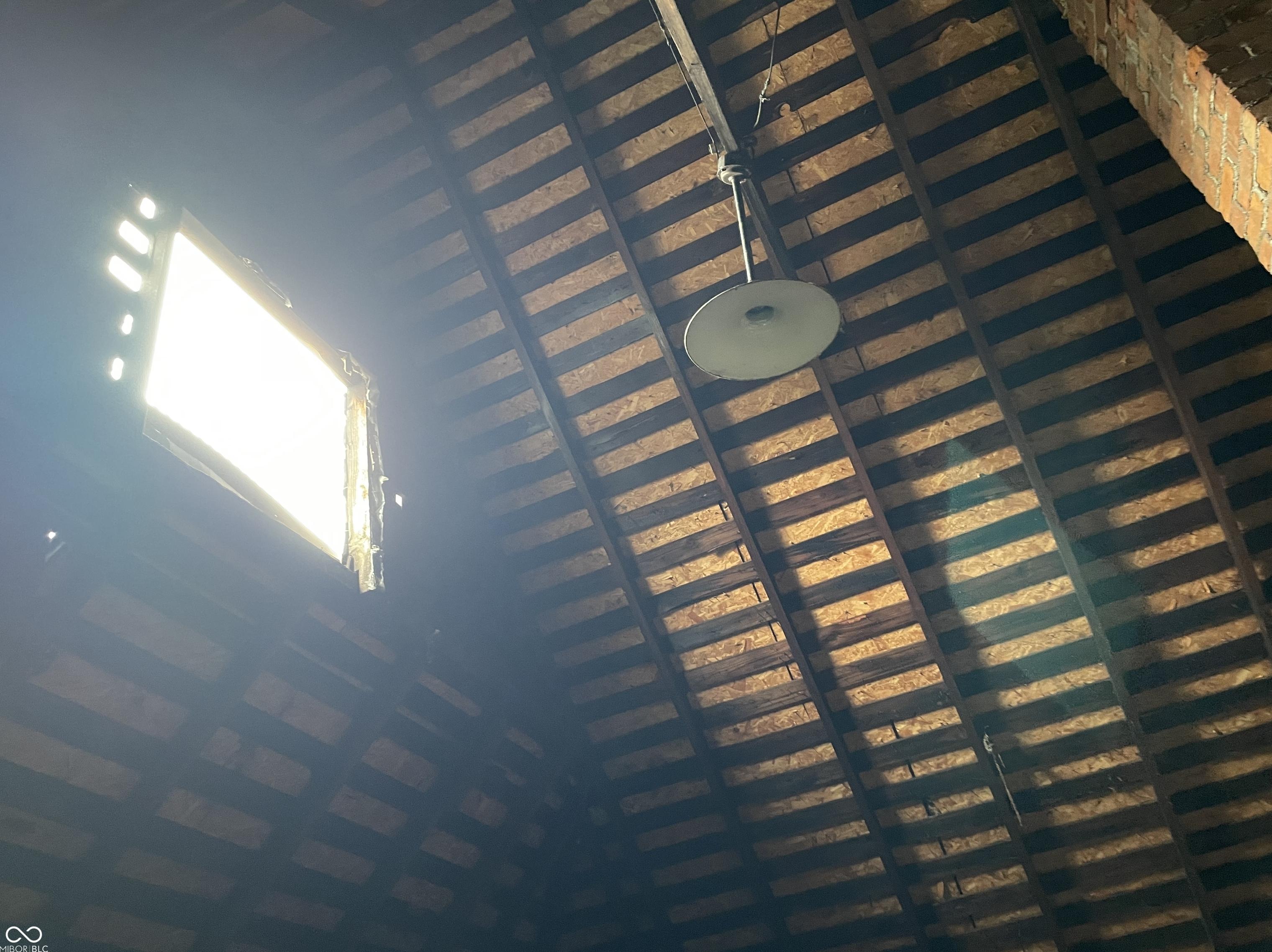 Photo #21