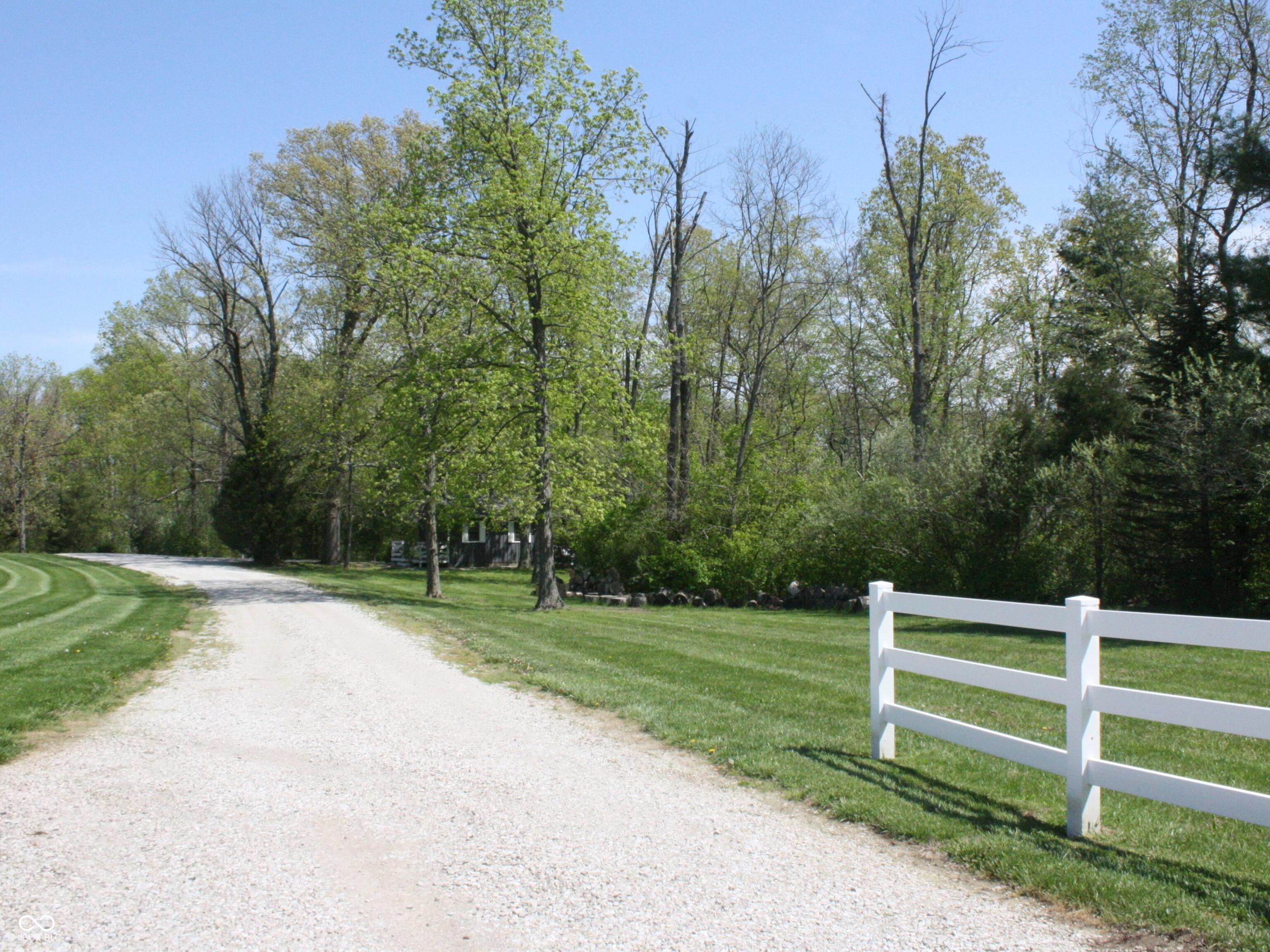 Photo #38