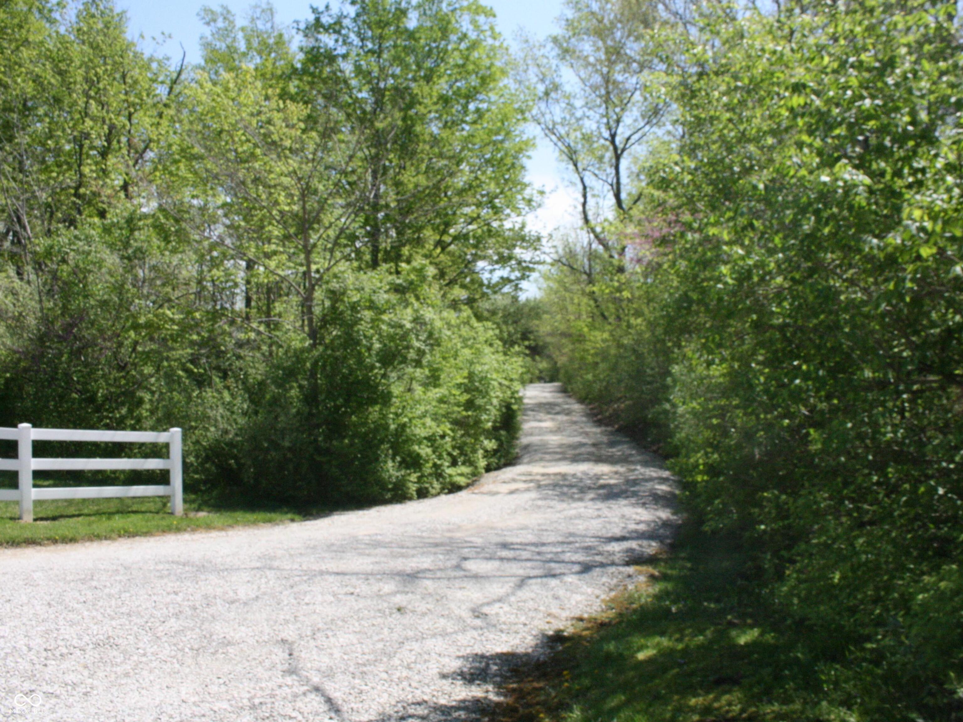 Photo #39
