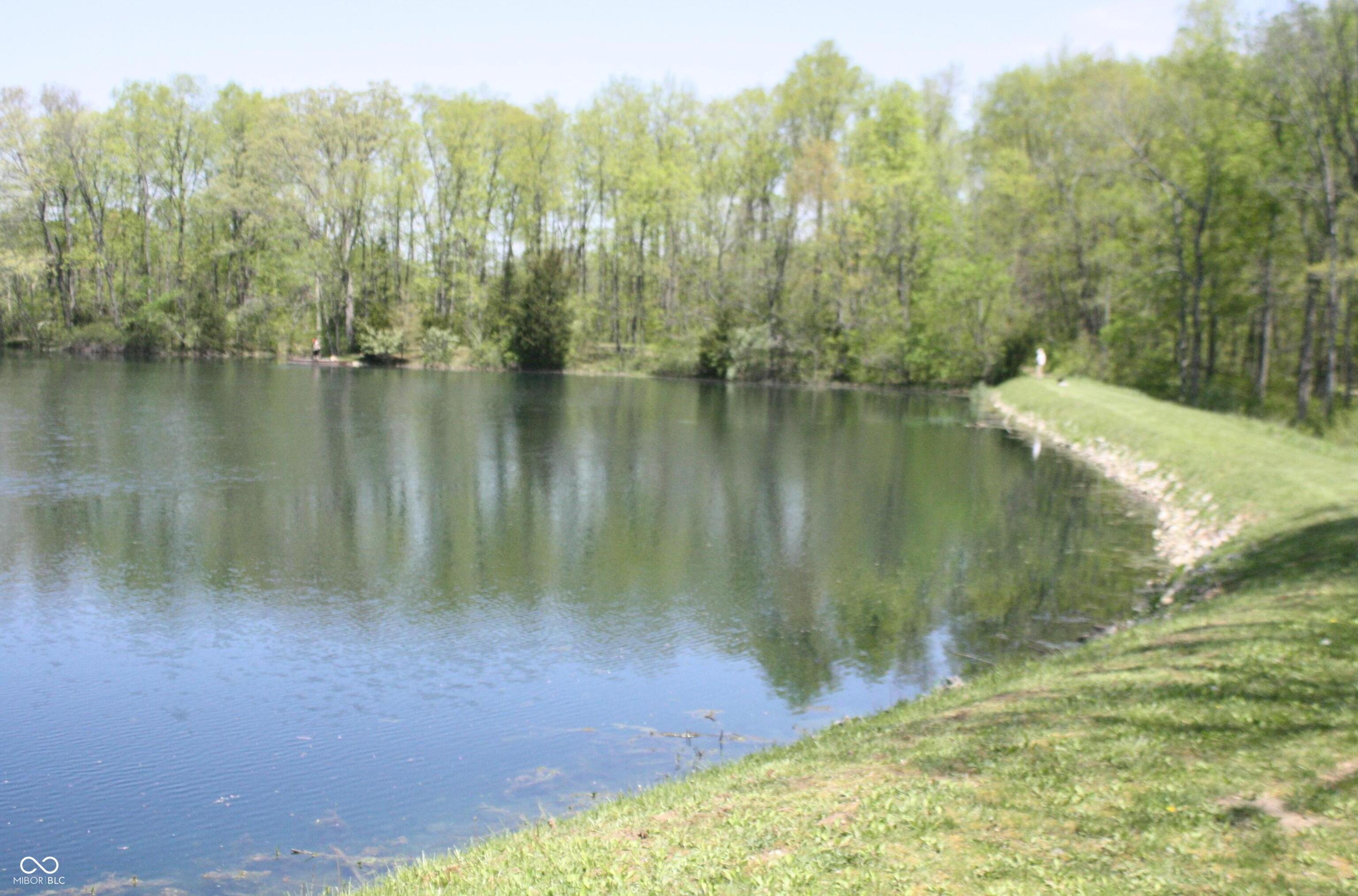 Photo #77