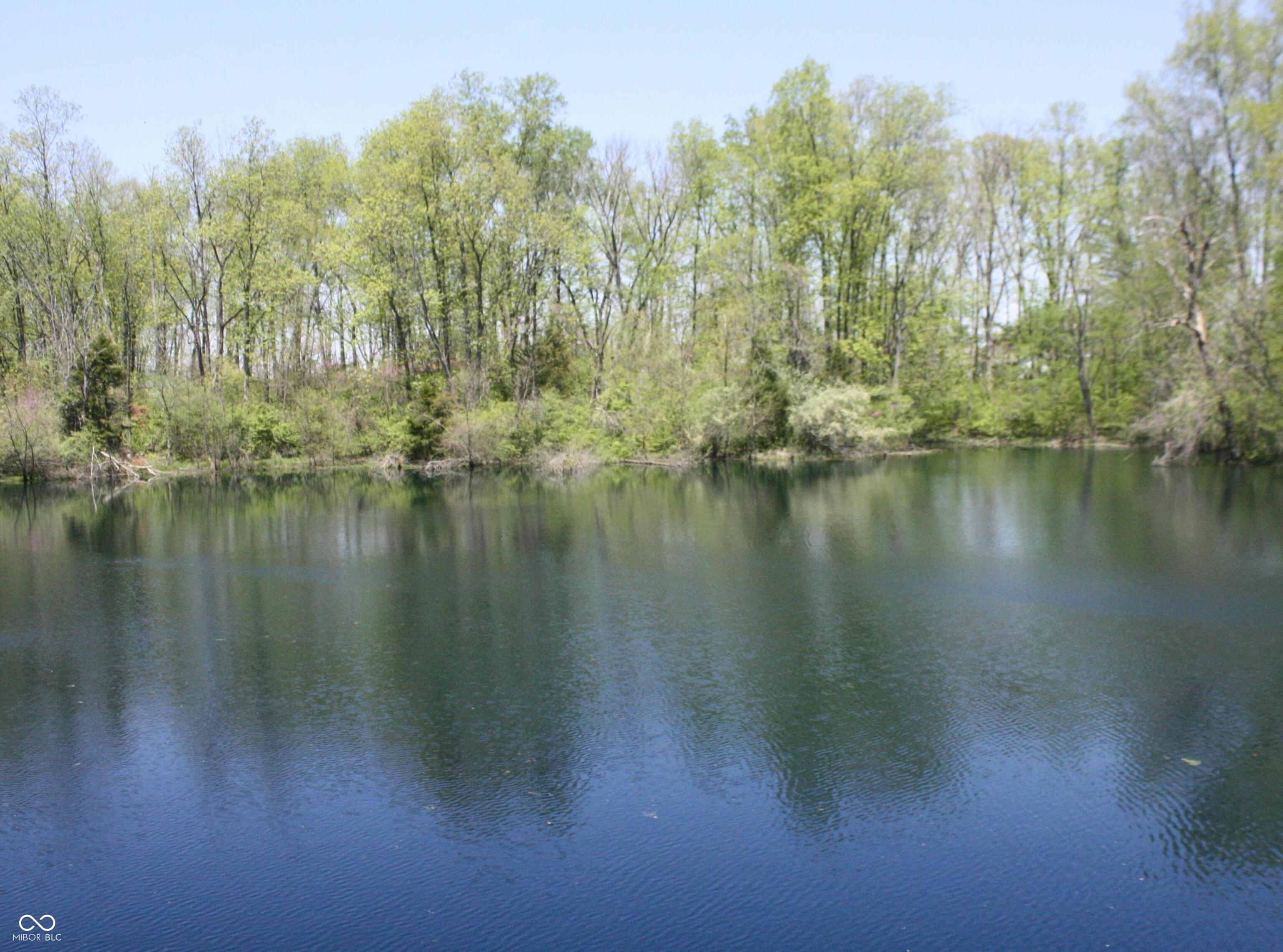 Photo #54