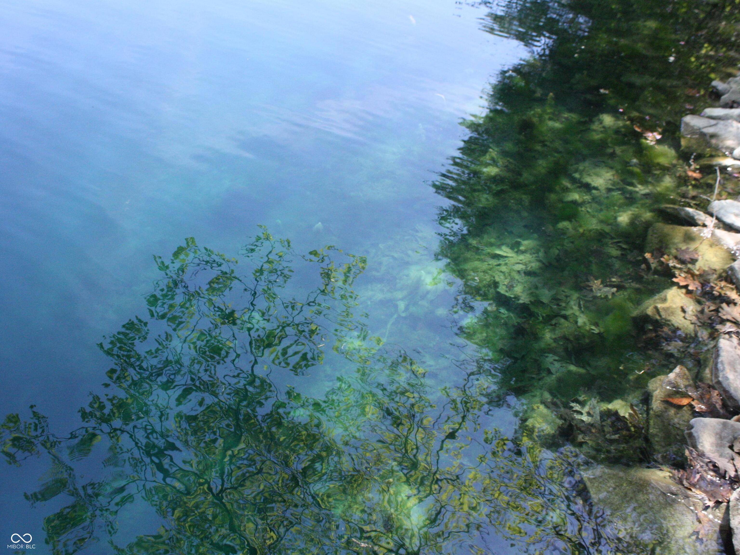 Photo #56