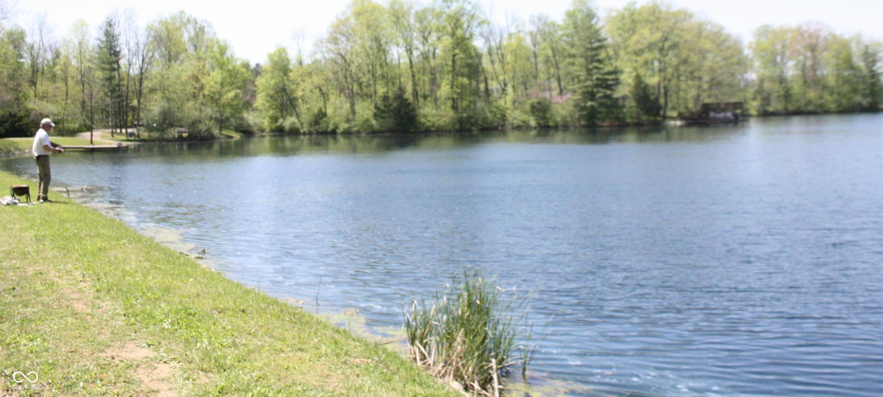 Photo #91