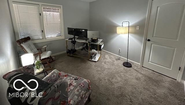 Photo #17