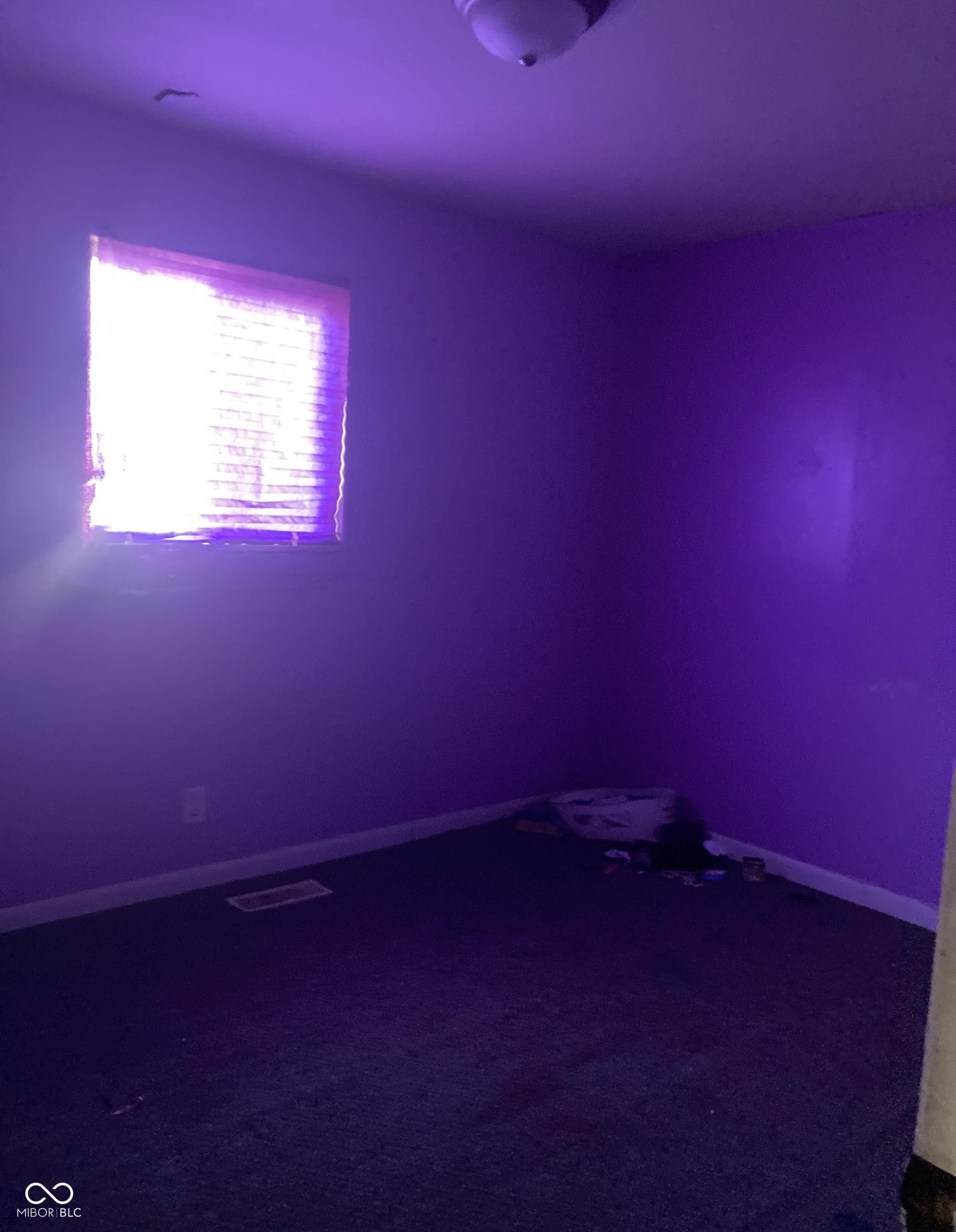 Photo #4