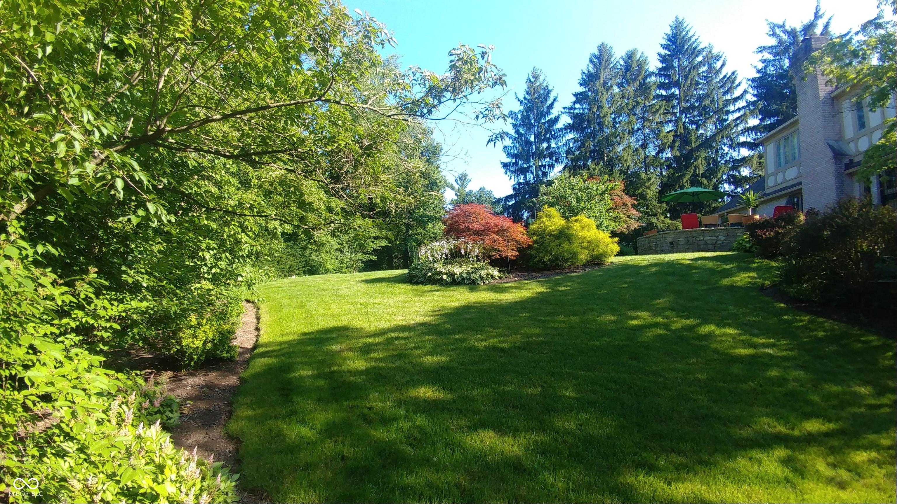 Photo #3