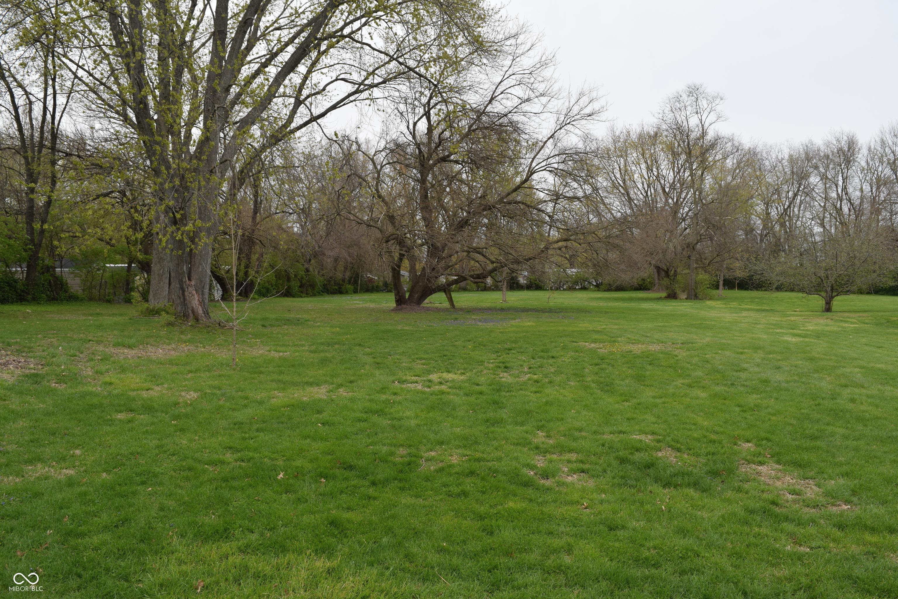 Photo #4