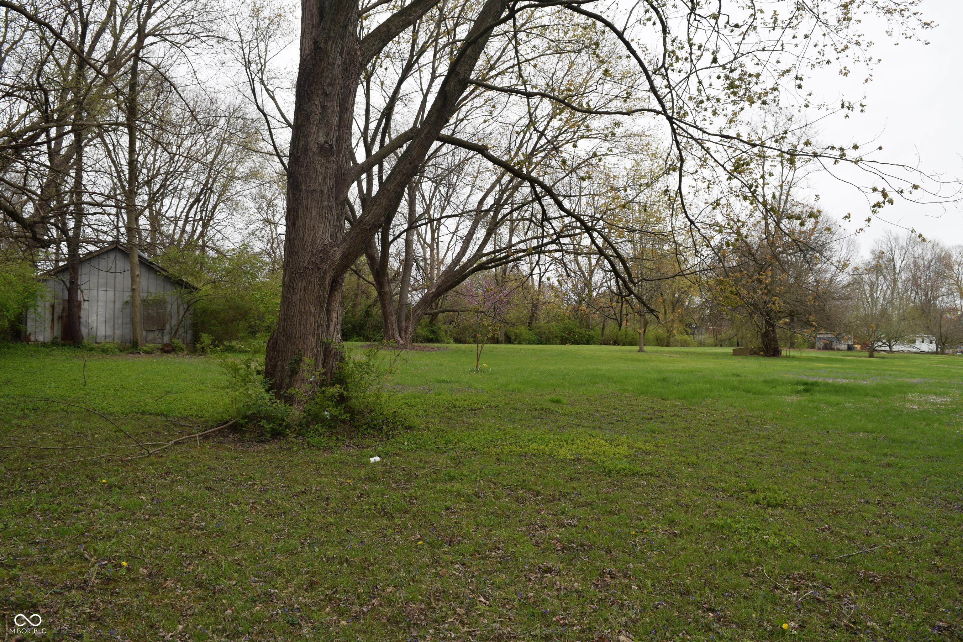 Photo #5