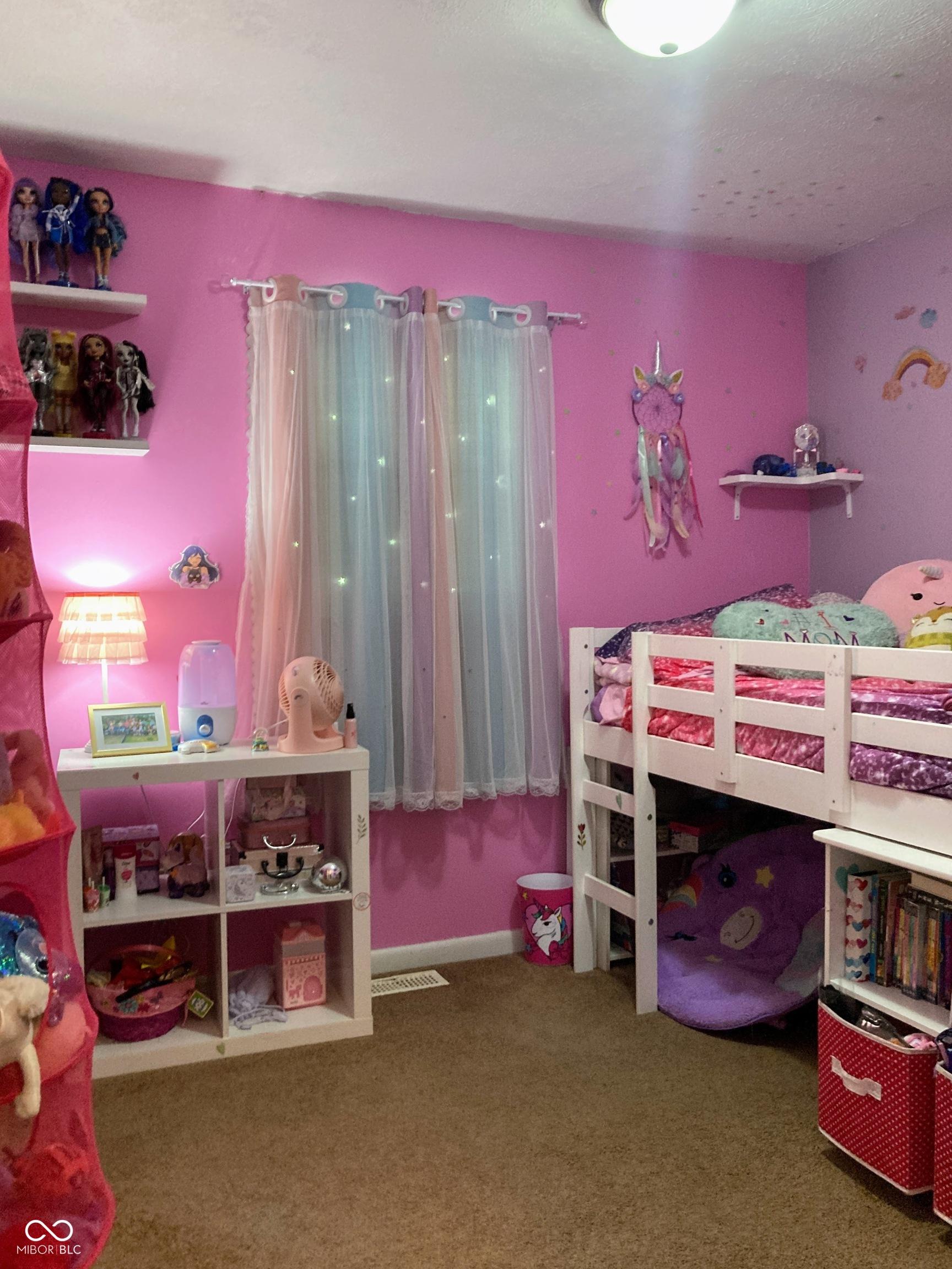 Photo #12