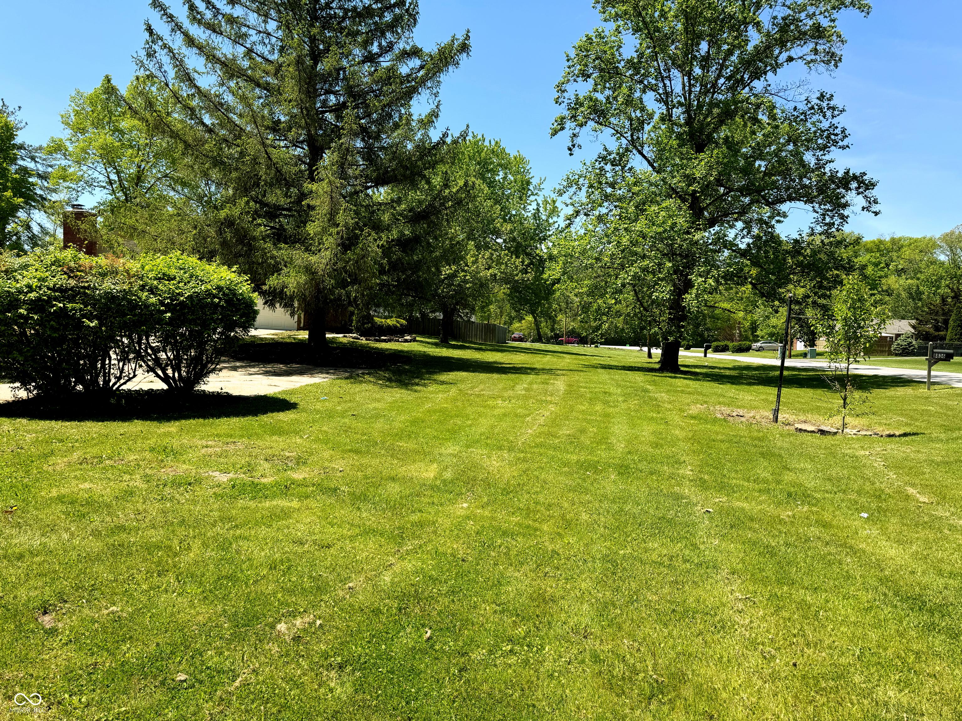 Photo #38