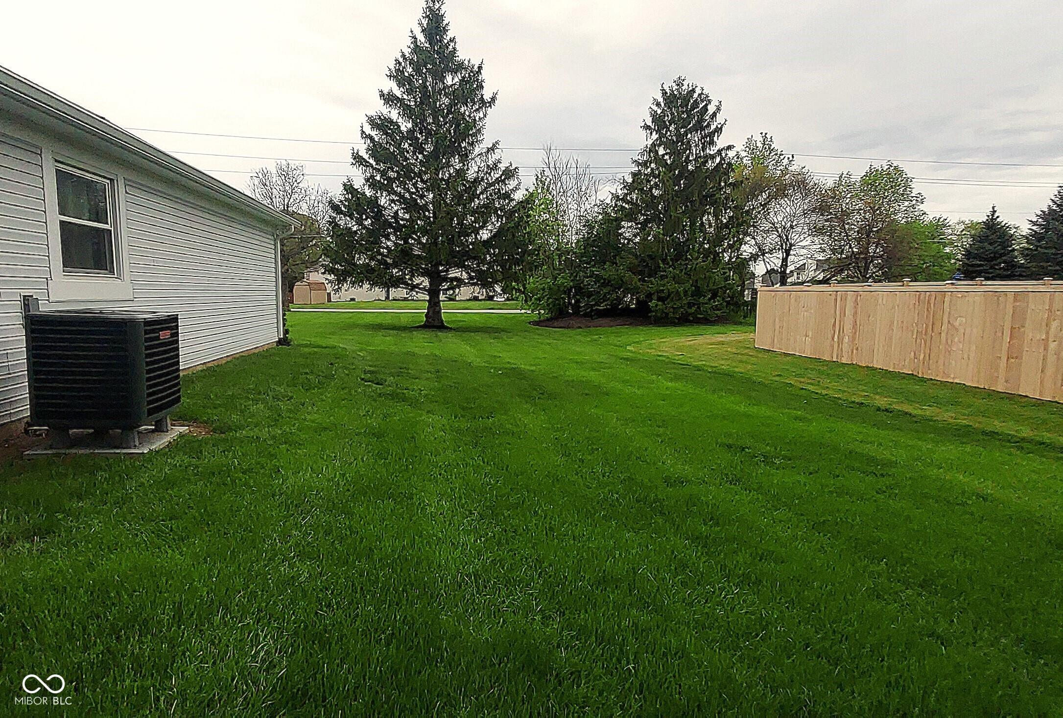 Photo #56