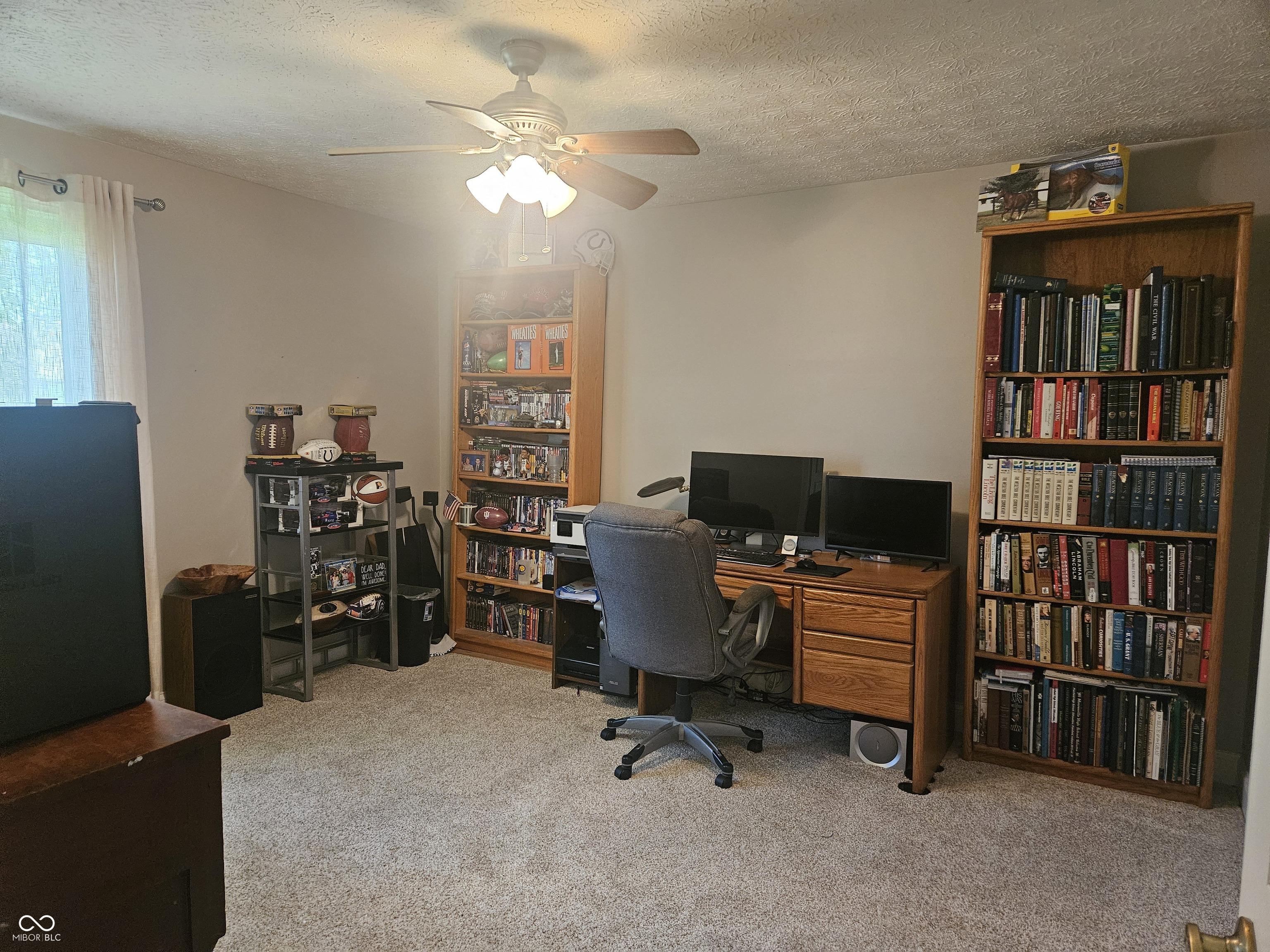 Photo #31