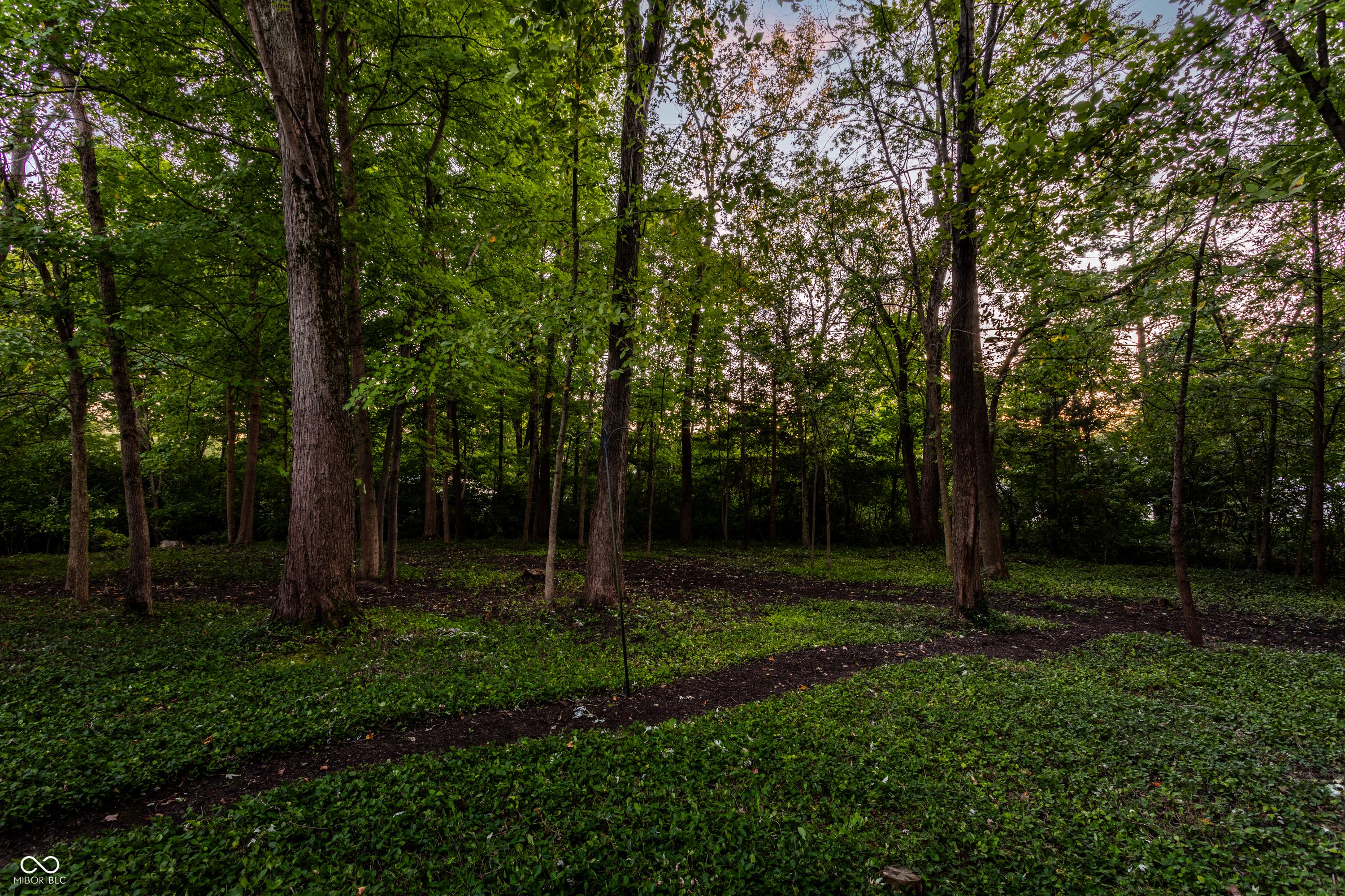 Photo #36