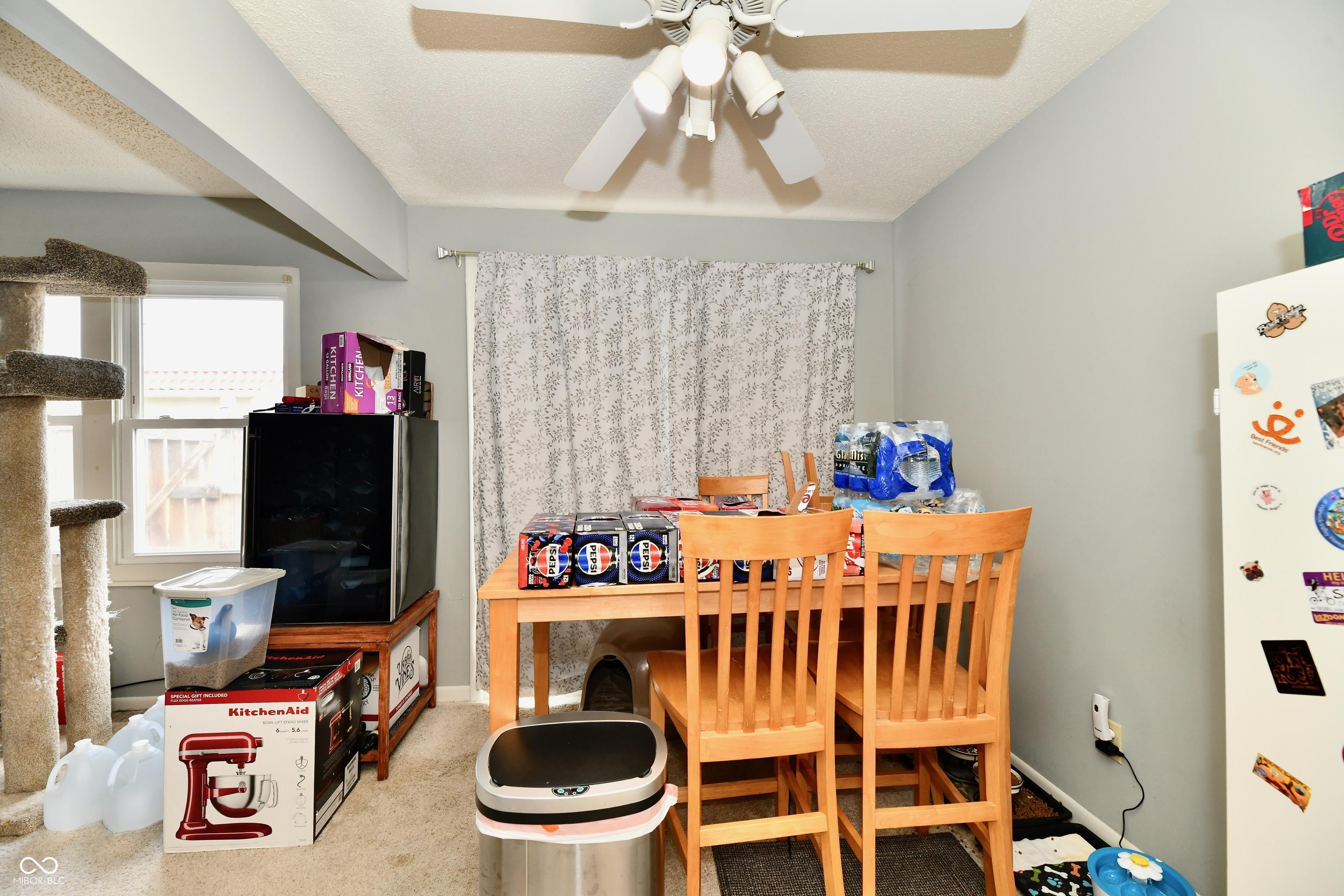 Photo #13