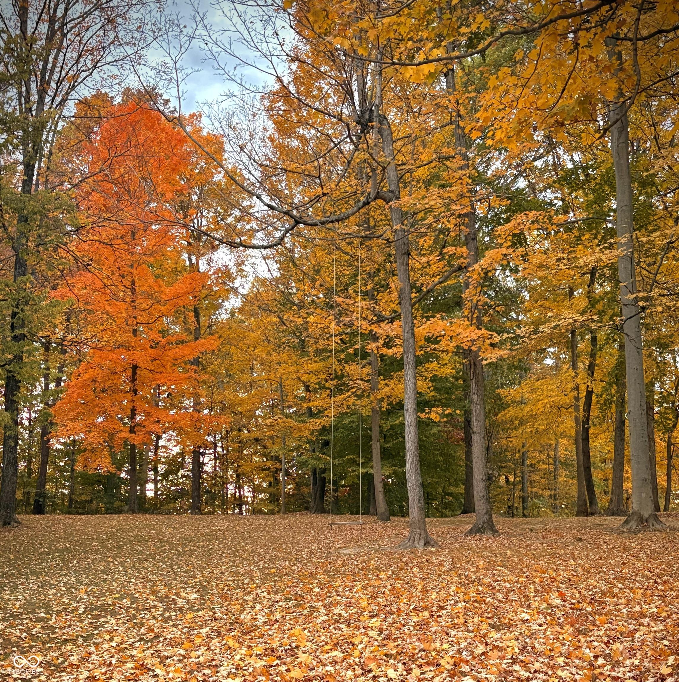 Photo #47