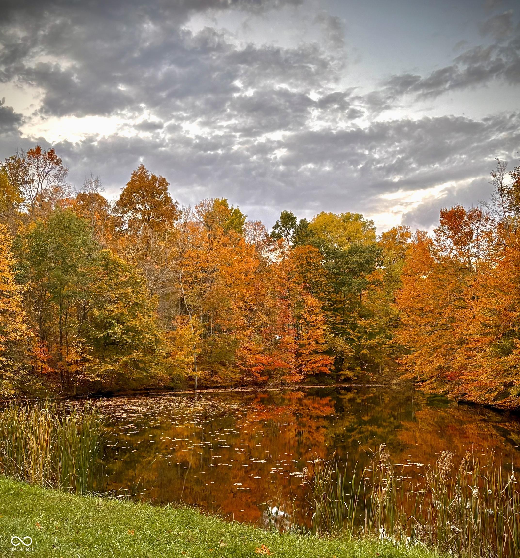 Photo #48