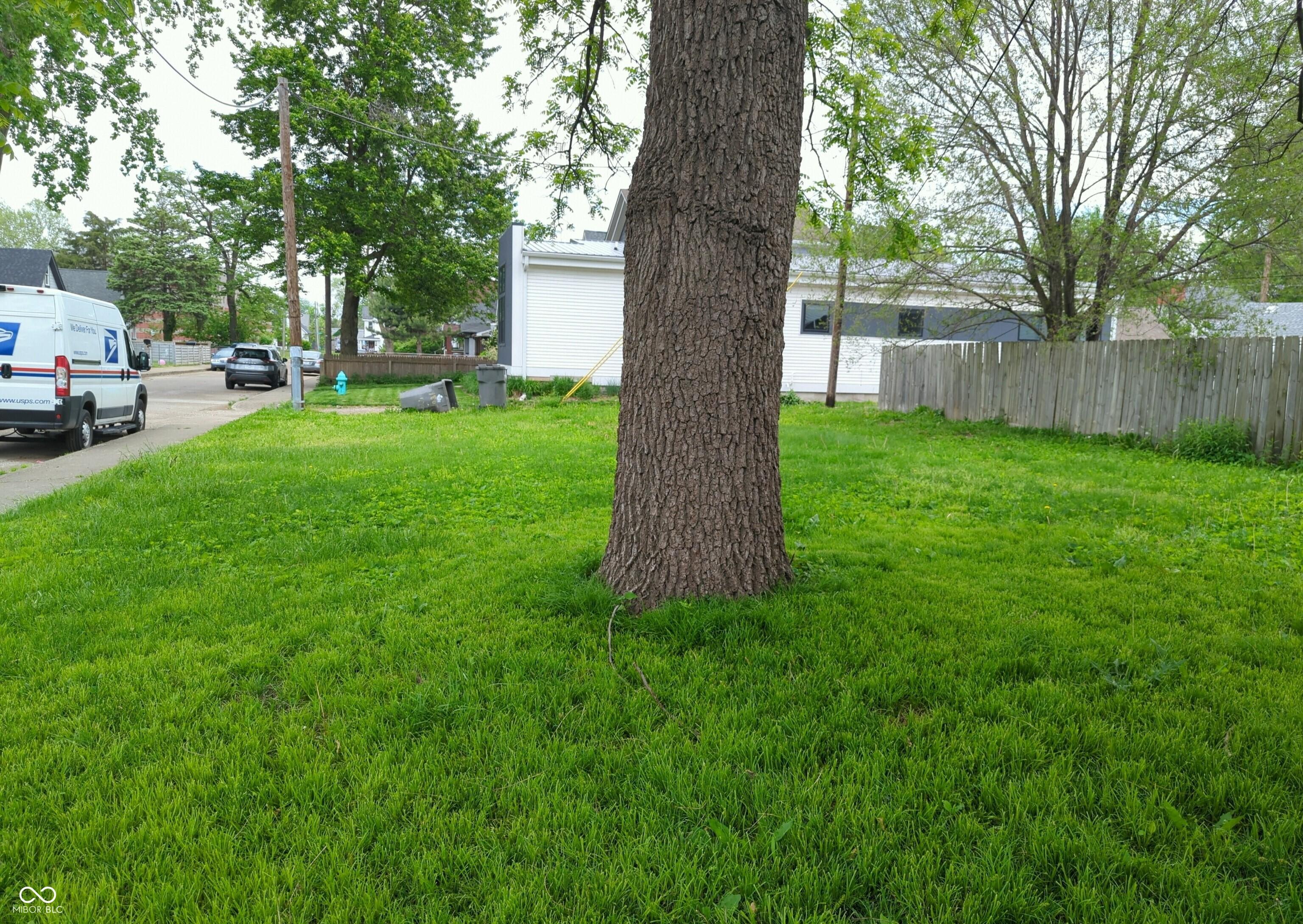 Photo #13