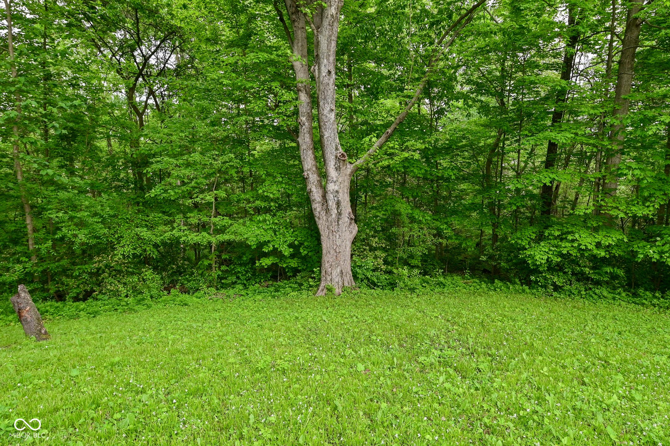 Photo #4